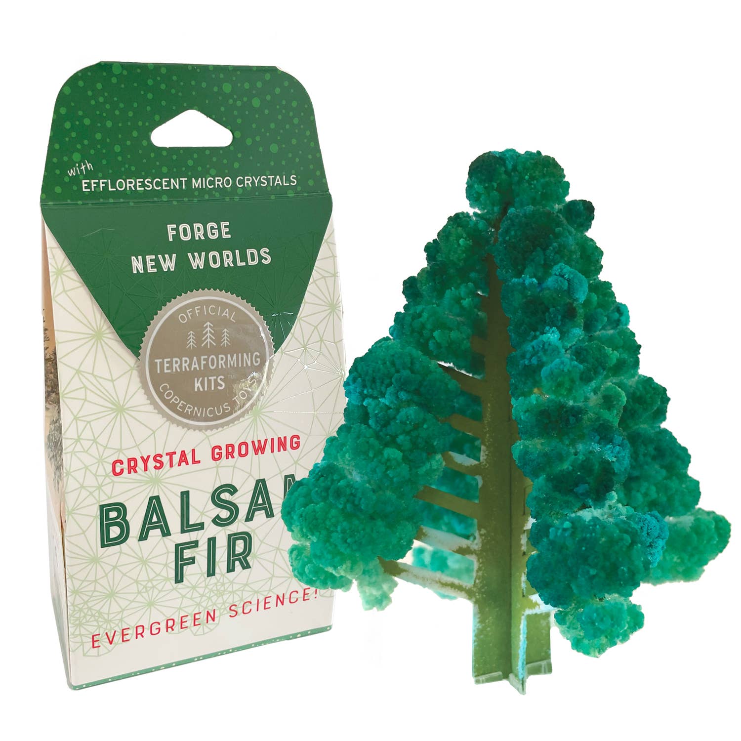 Copernicus Toys - Crystal Growing Balsam Fir |
Craft kit Science kit Christmas