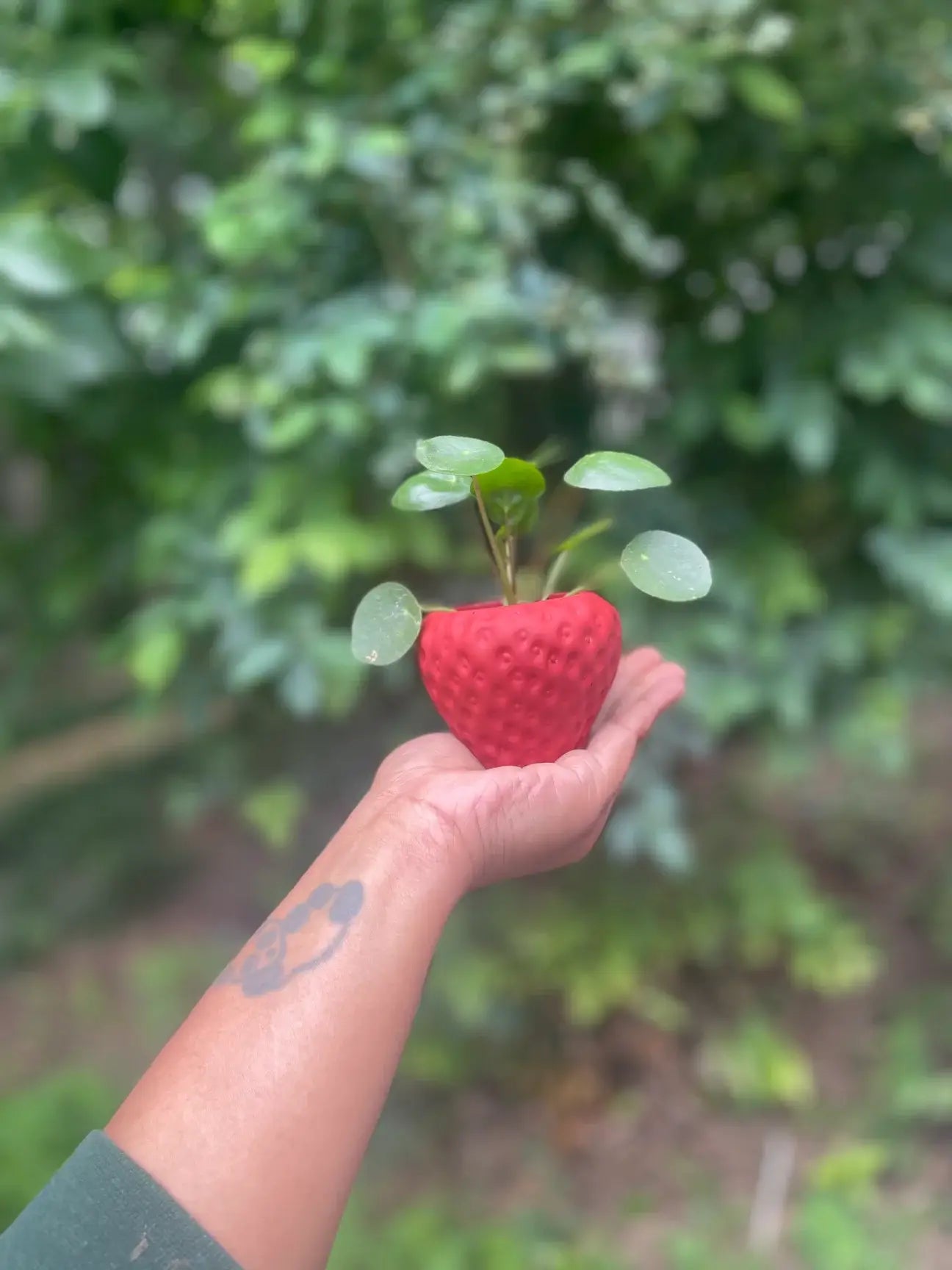 Queen City Crete - Succulent strawberry planter 