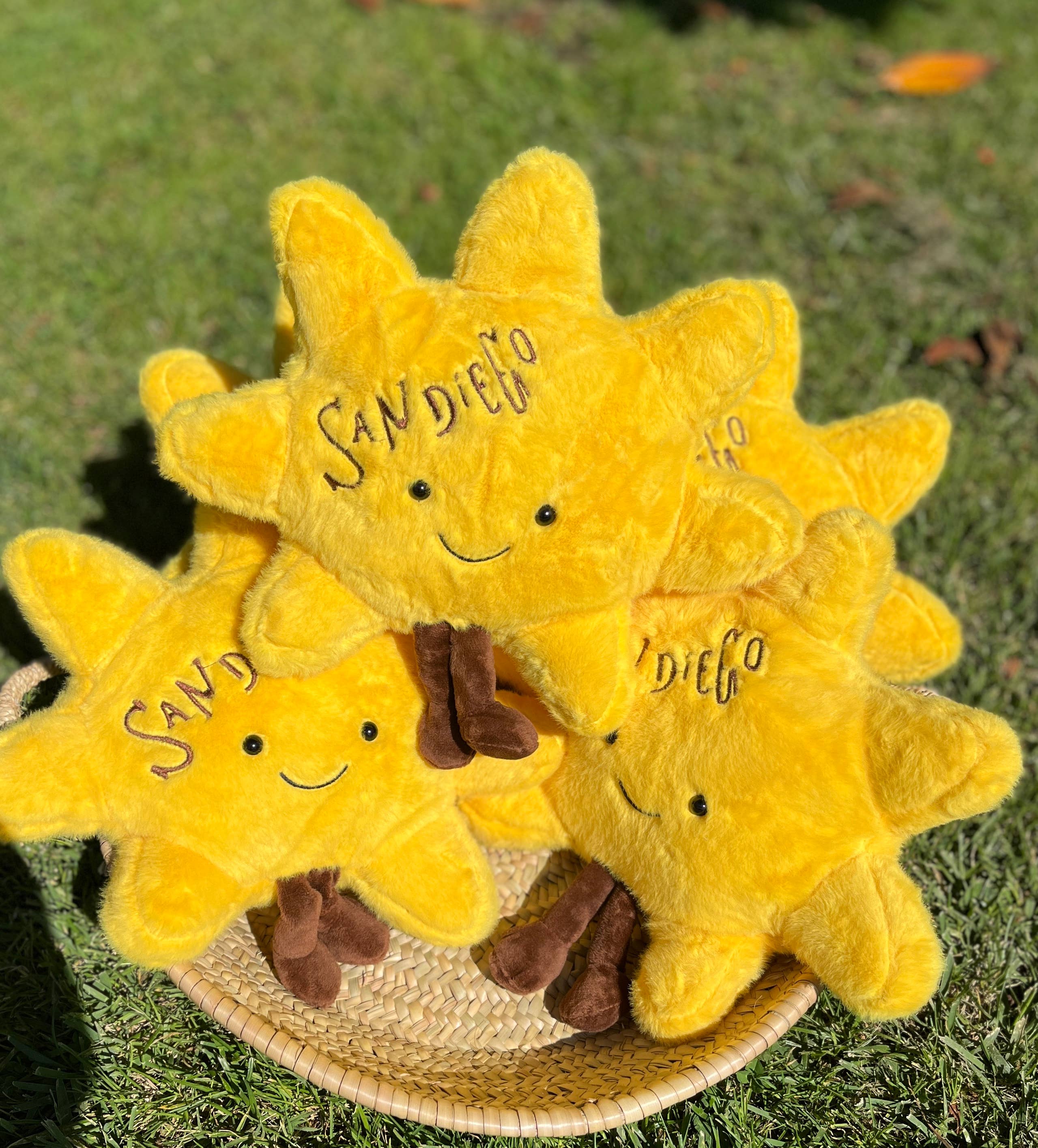 La Ranchita's - San Diego Sun Plush + San Diego Socks + San Diego Sticker