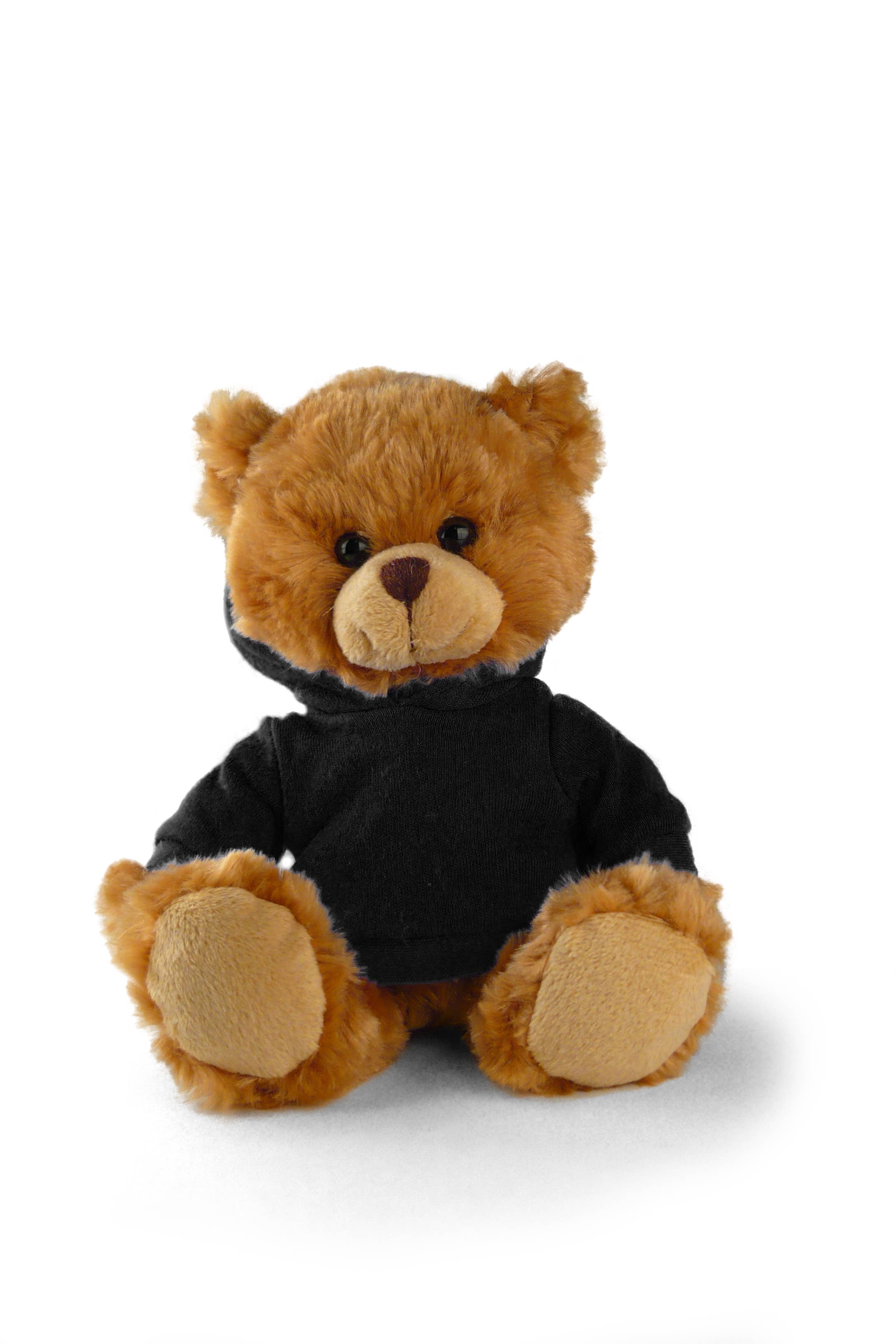 San DiegoBear with hoodie