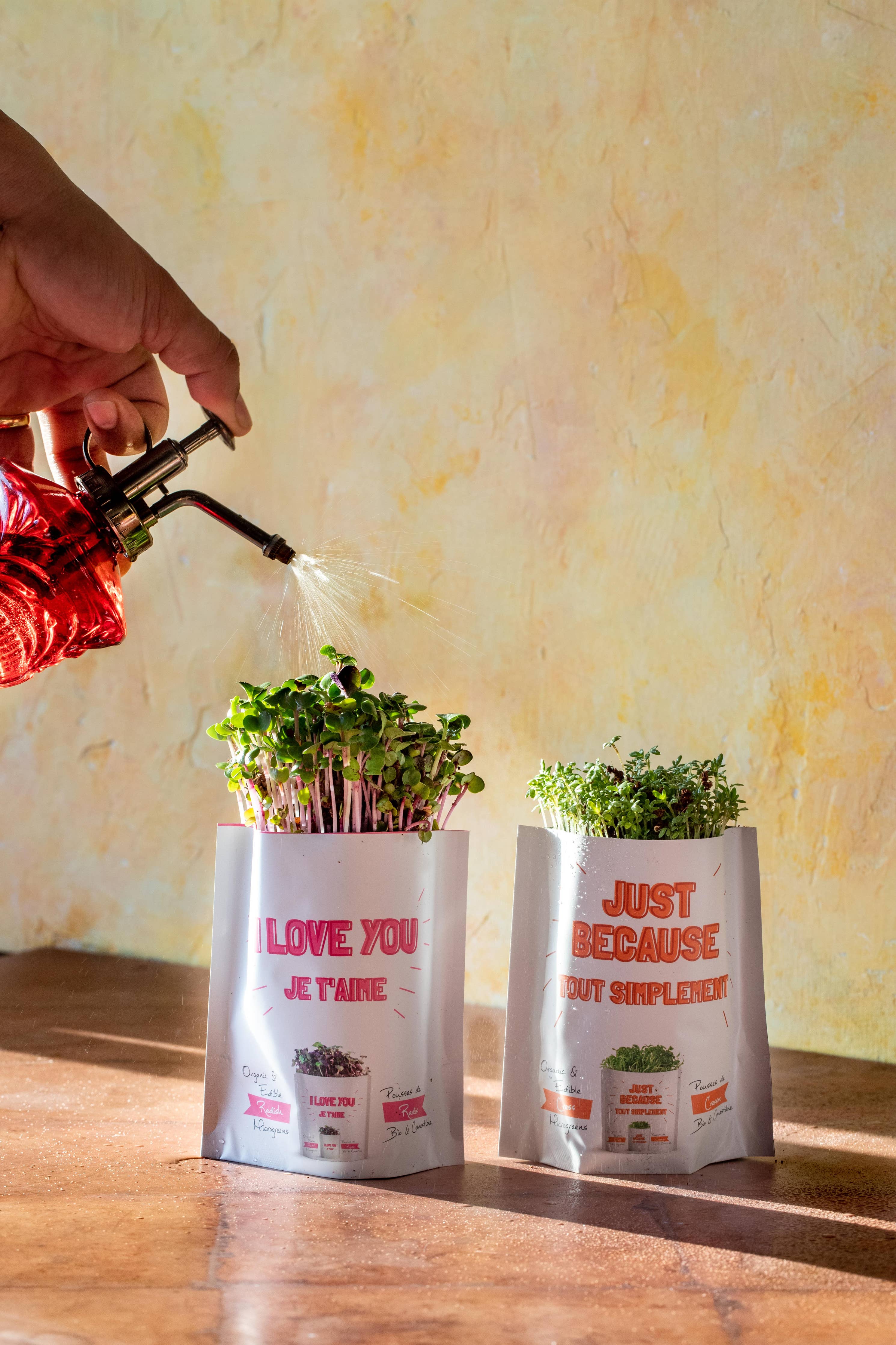 giftagreen -Greeting Card Pouch