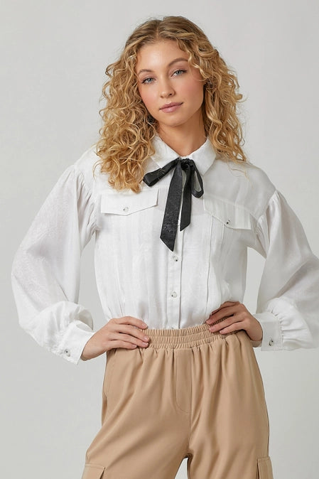 Tie Neck Pleats Blouse