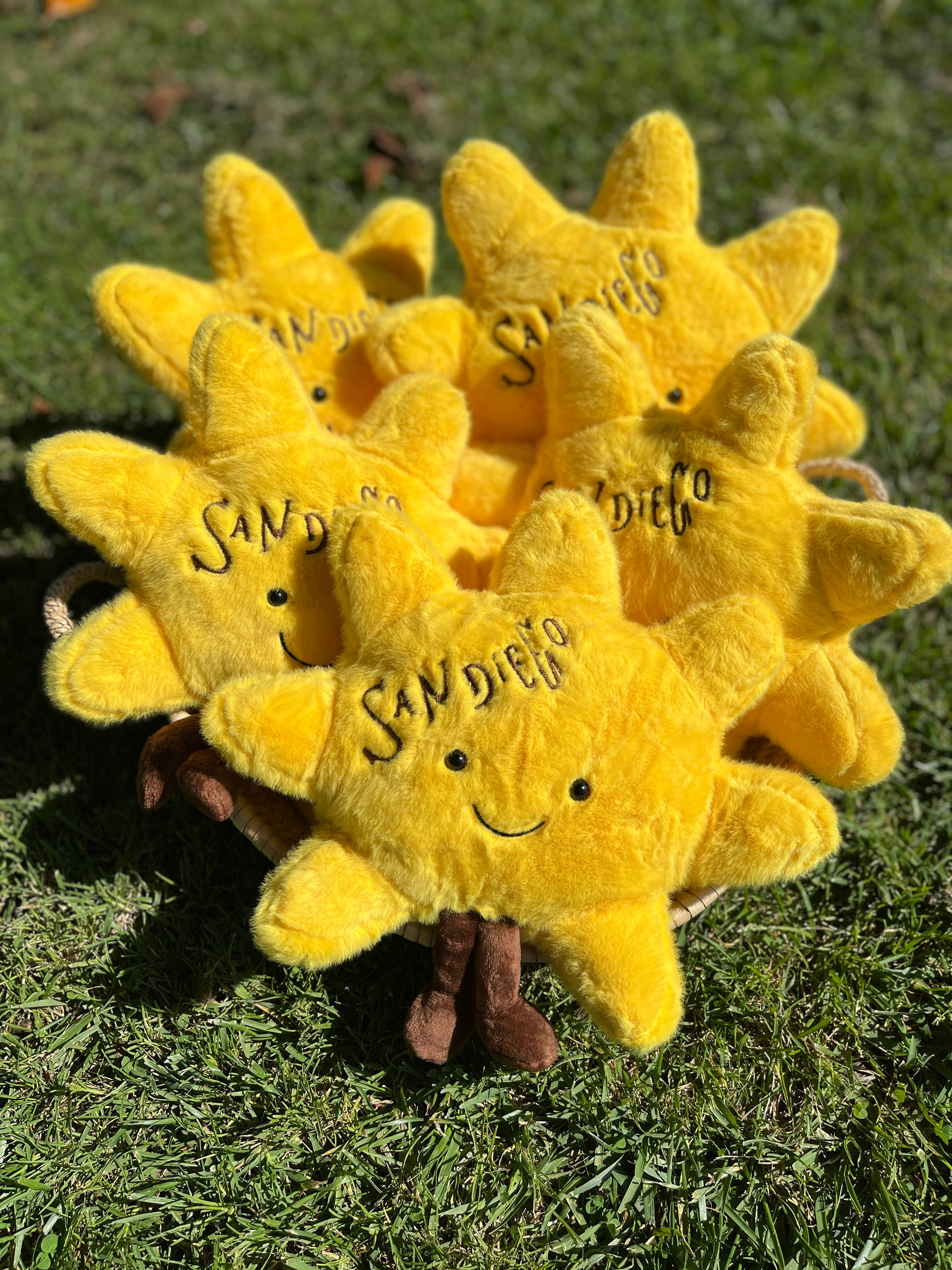 La Ranchita's - San Diego Sun Plush + San Diego Socks + San Diego Sticker