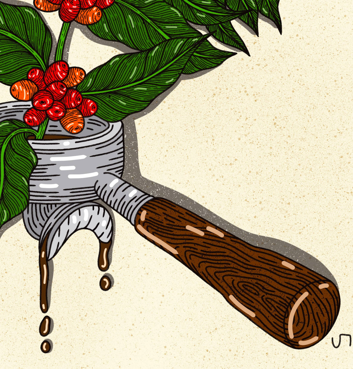 Howdy Studio - Coffee Plant