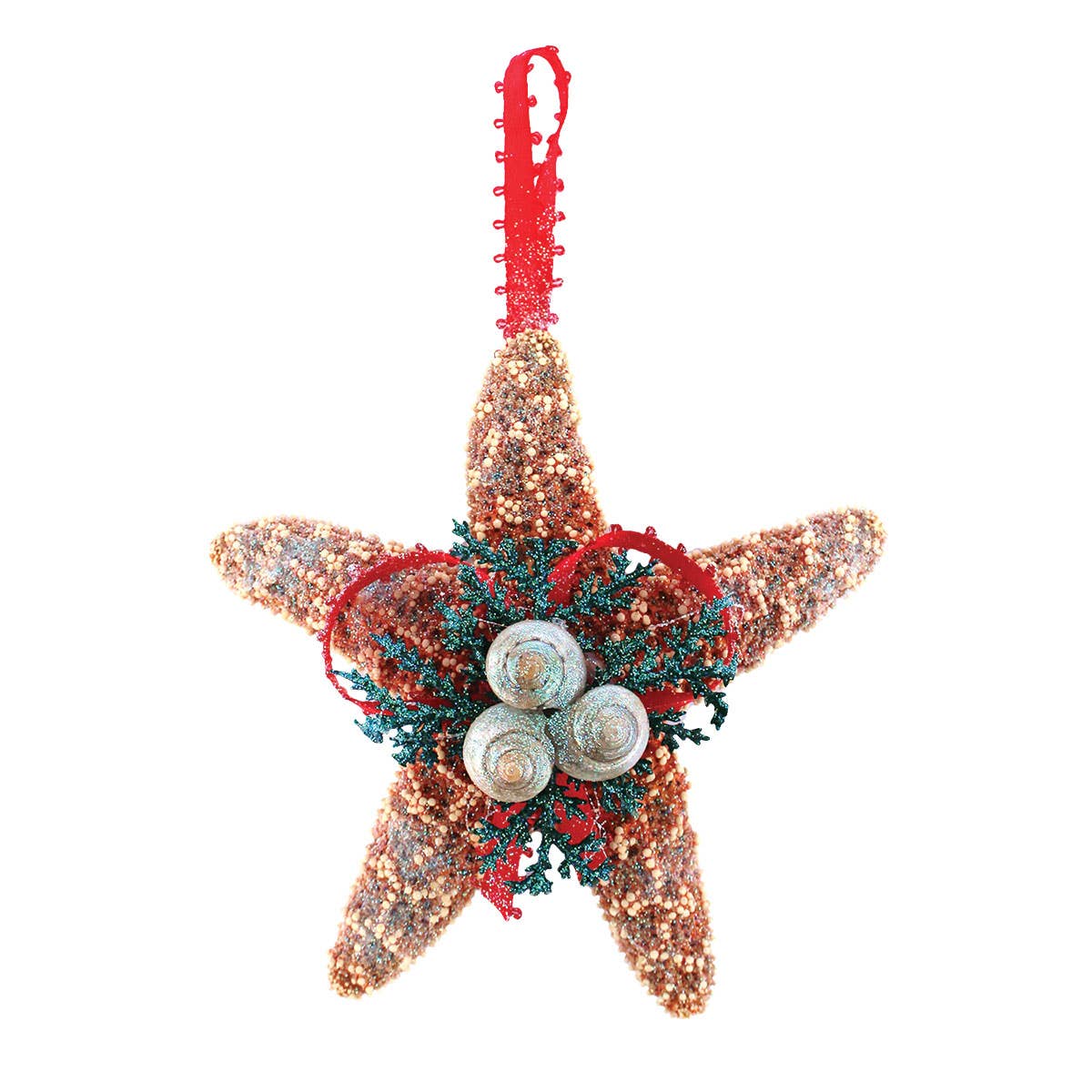 California Seashell Company - Sugar Starfish Evergreen Collage Ornament