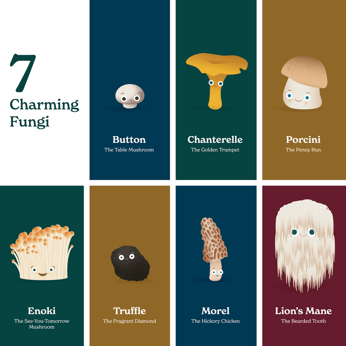 Chunky Deli - Little Book of Fungi
