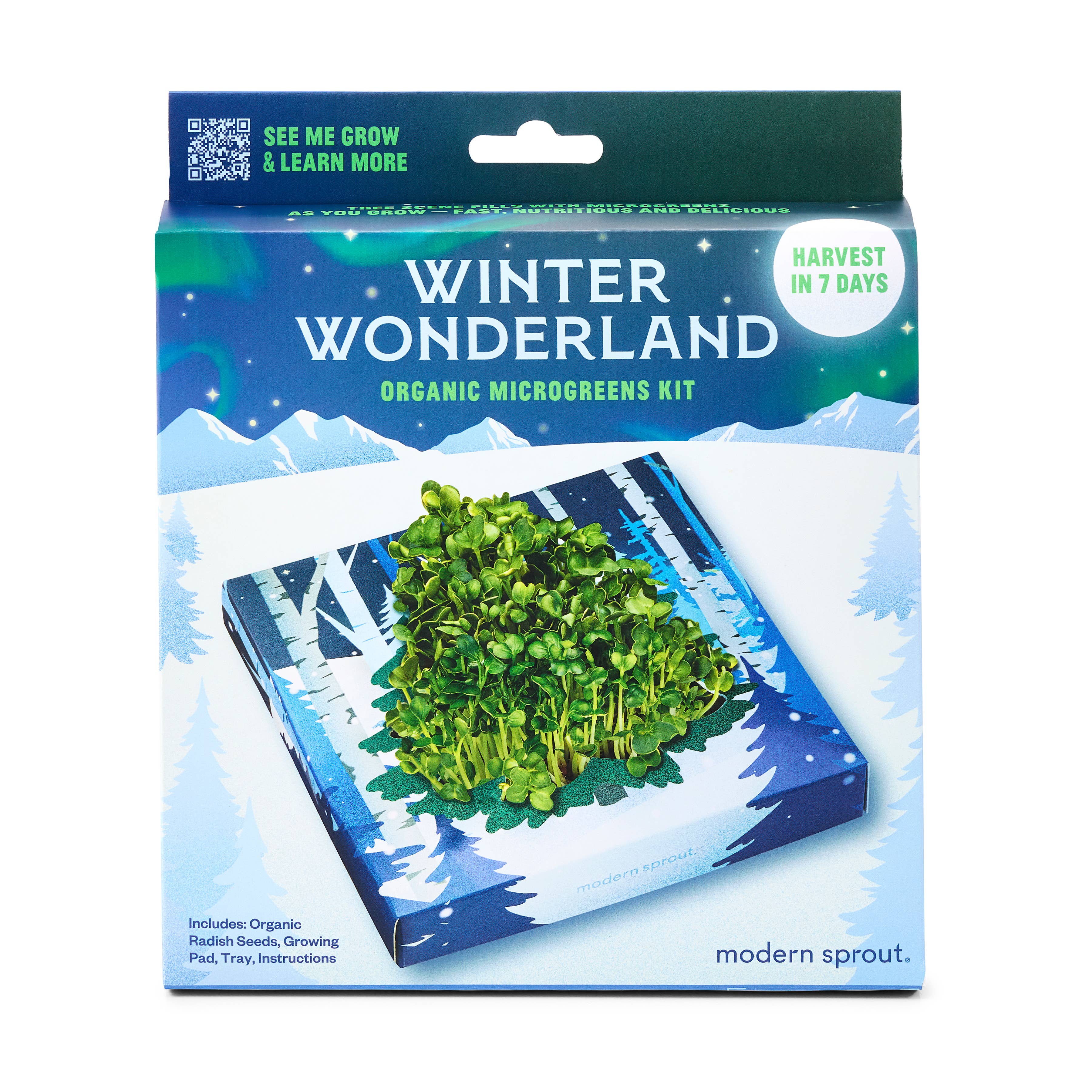 Modern Sprout - Winter Wonderland Microgreens Kit