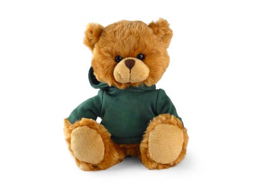 San DiegoBear with hoodie