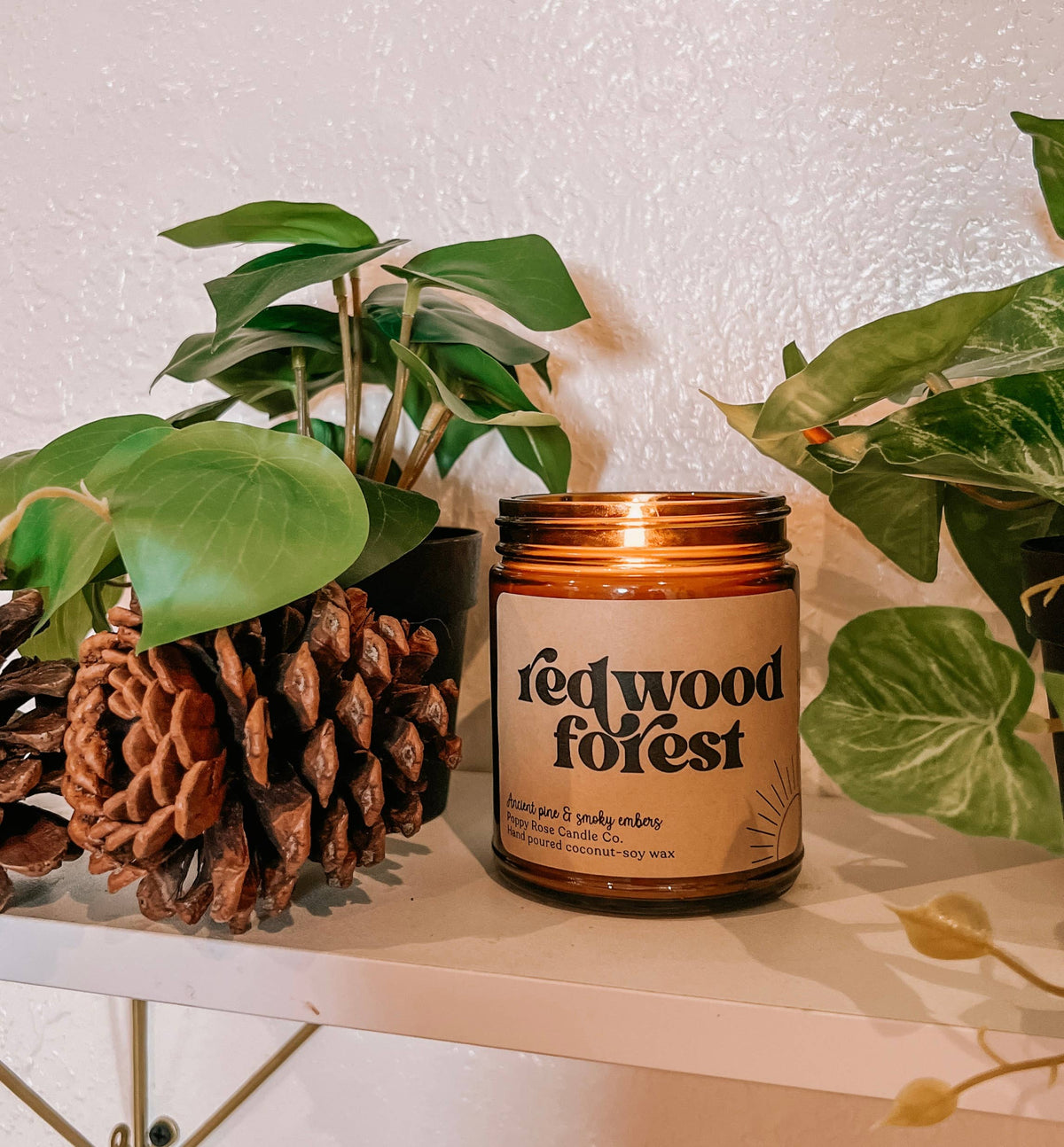 Poppy Rose Candle Co. - Redwood Forest 8 oz coconut wax amber jar candle