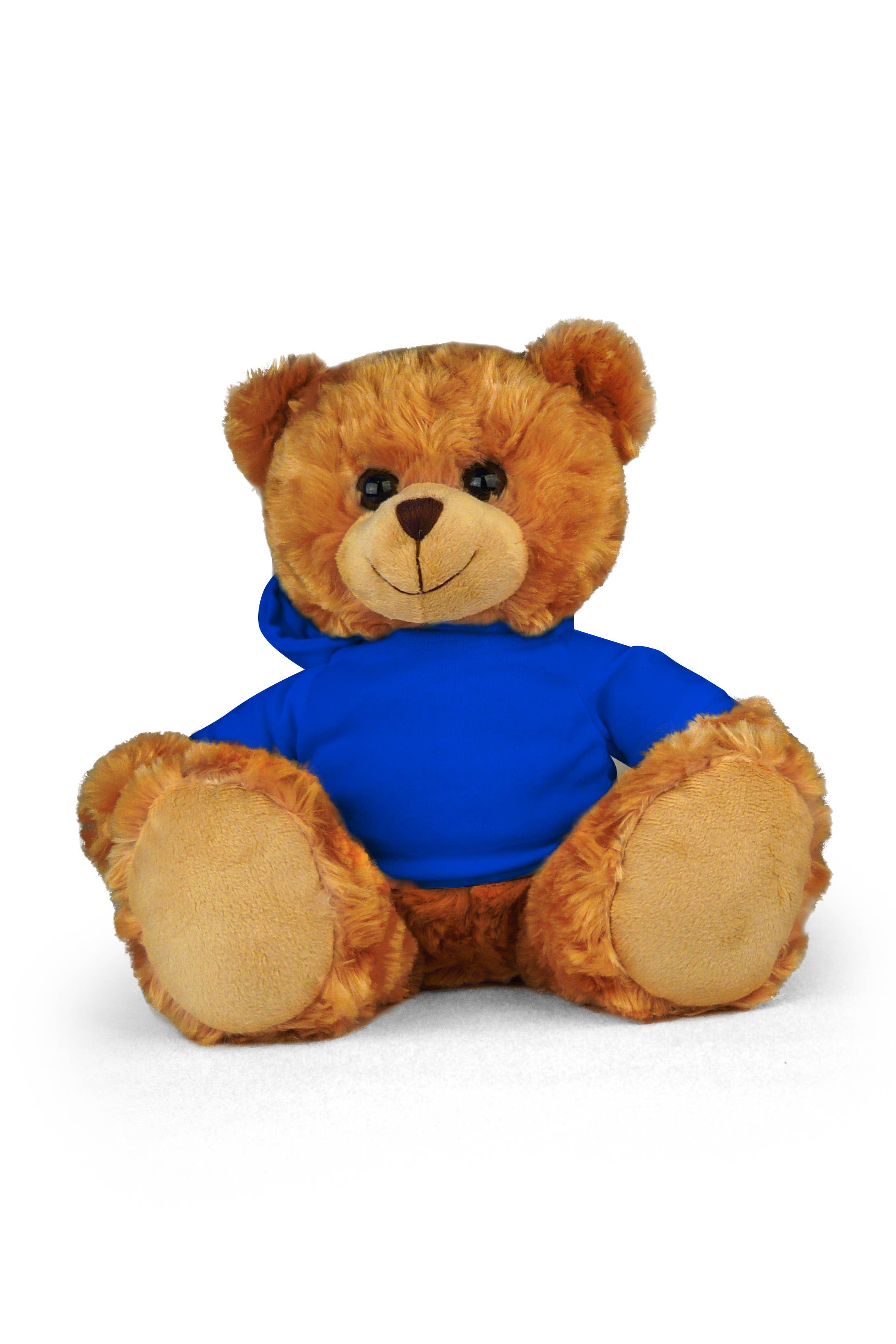 San DiegoBear with hoodie