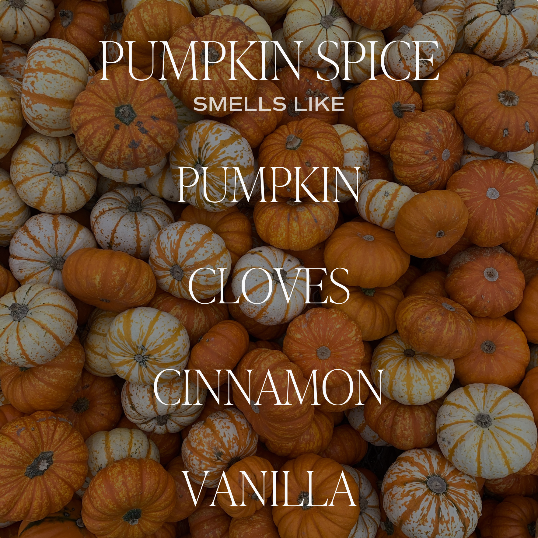 Pumpkin Spice 9 oz Soy Candle -