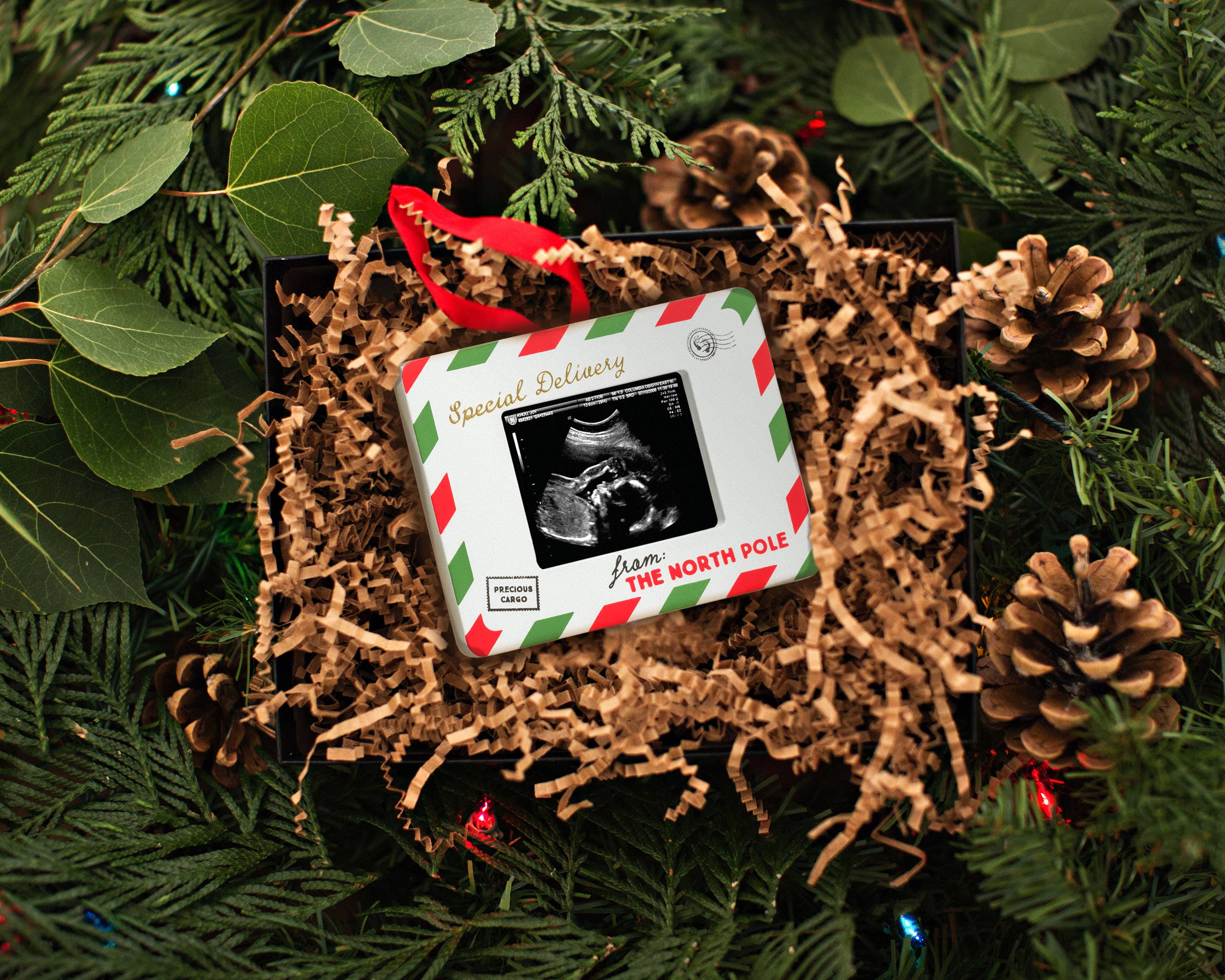 Pearhead - Special Delivery Sonogram Photo Holiday Ornament