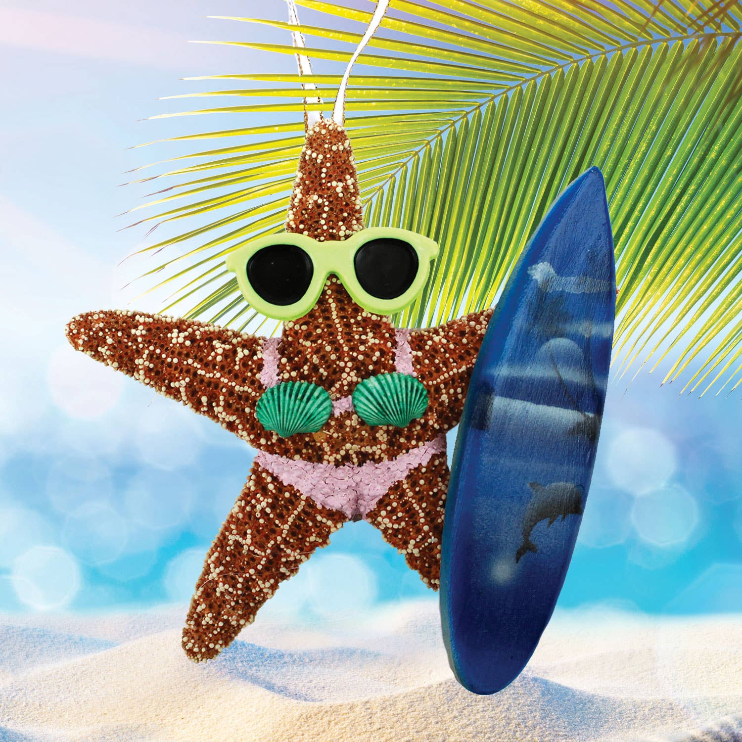 California Seashell Company - Surfer Girl Sugar Starfish Ornament