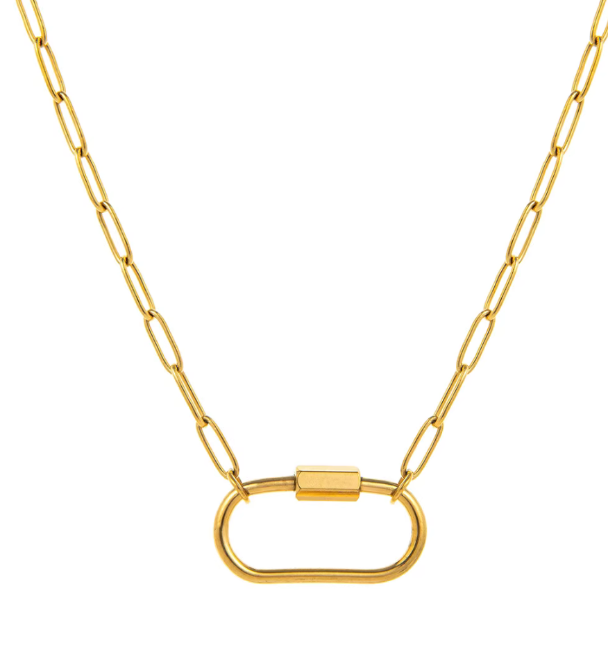 HoopLa - Full Circle Charm Collector Amulet Necklaces 18K PVD Gold 