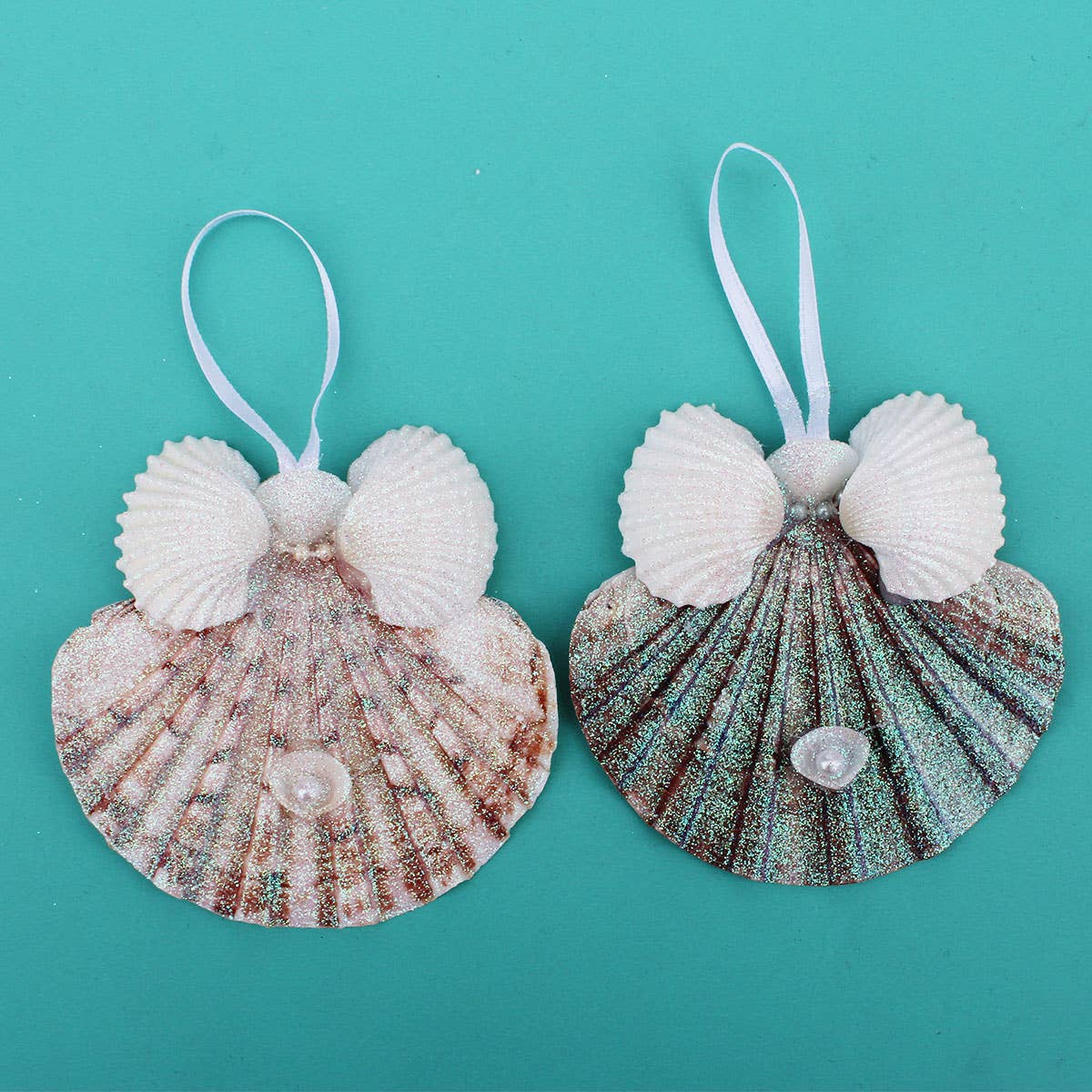 California Seashell Company - Flat Pectin with Arca Wings Seashell Angel Ornament