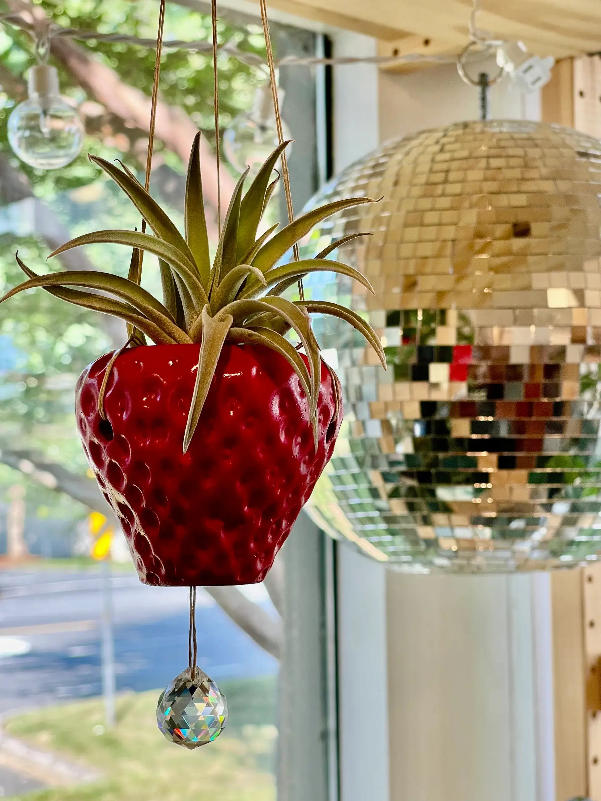 Queen City Crete - Suncatcher Strawberry Planter