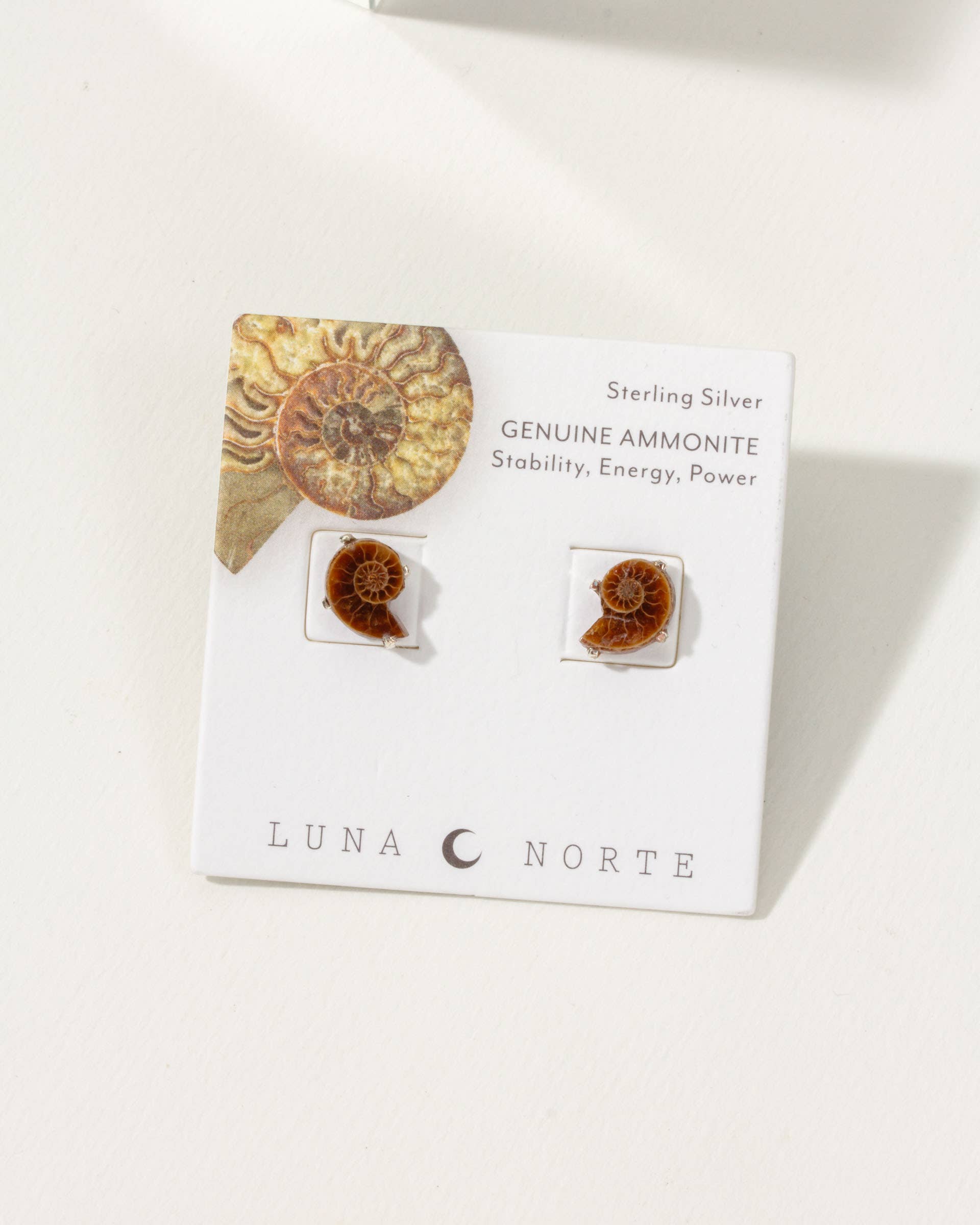 Luna Norte - Ammonite Sterling Silver Post Earrings