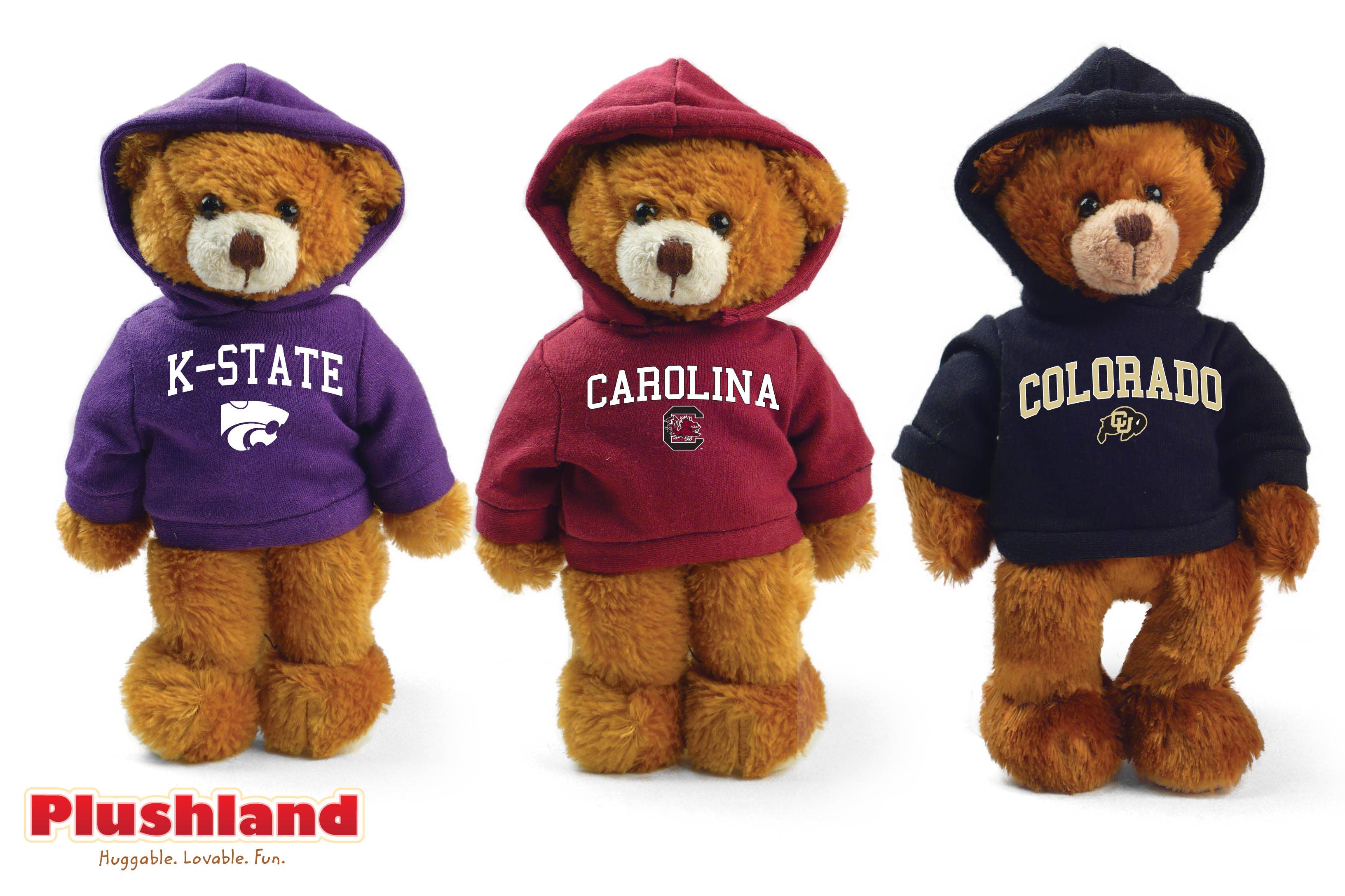 San DiegoBear with hoodie