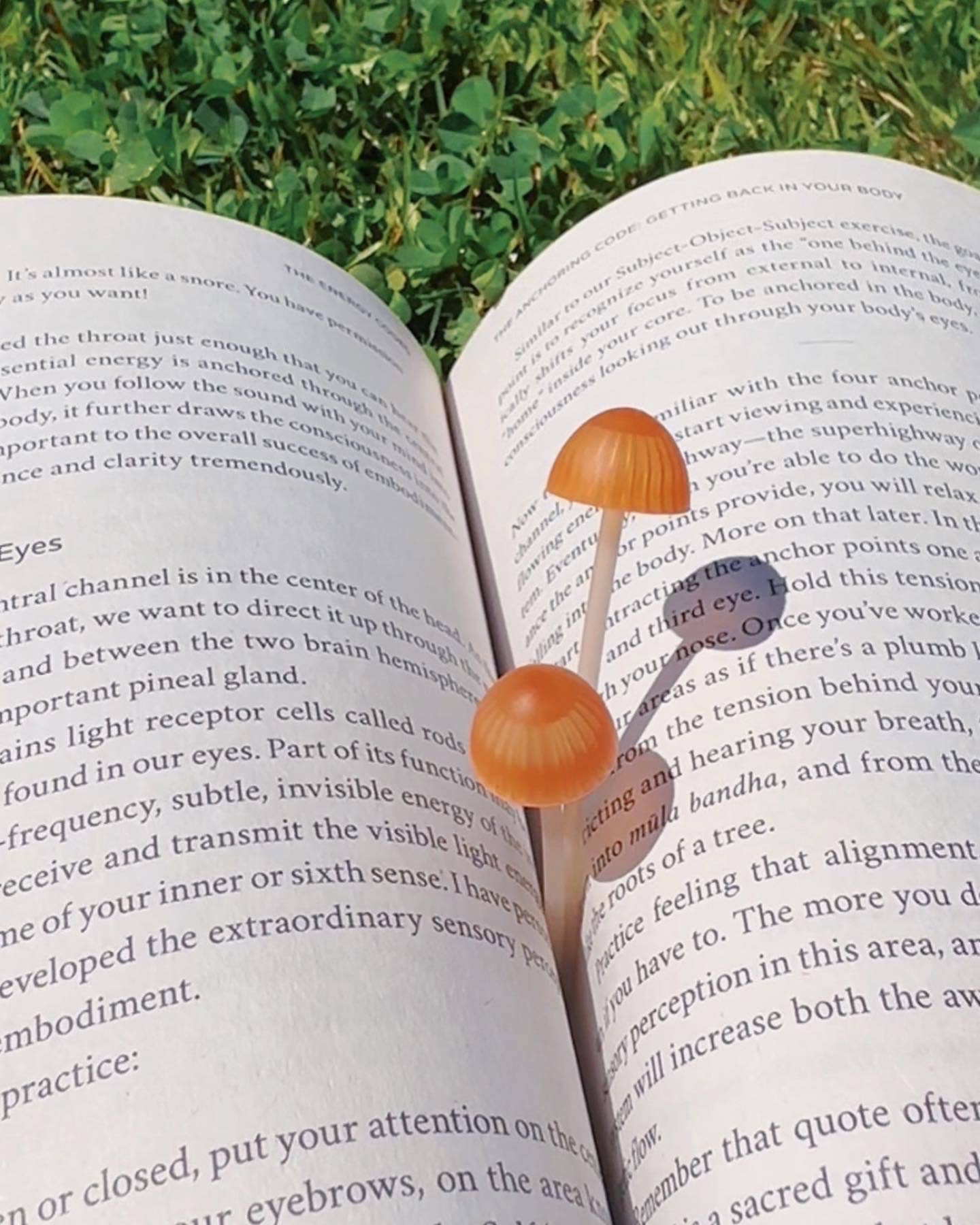 Fred & Friends - Magic Sprout - Mushroom Bookmarks - Set of 4