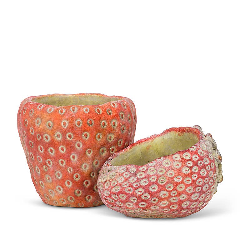 Abbott - Small Strawberry Planter-5"D