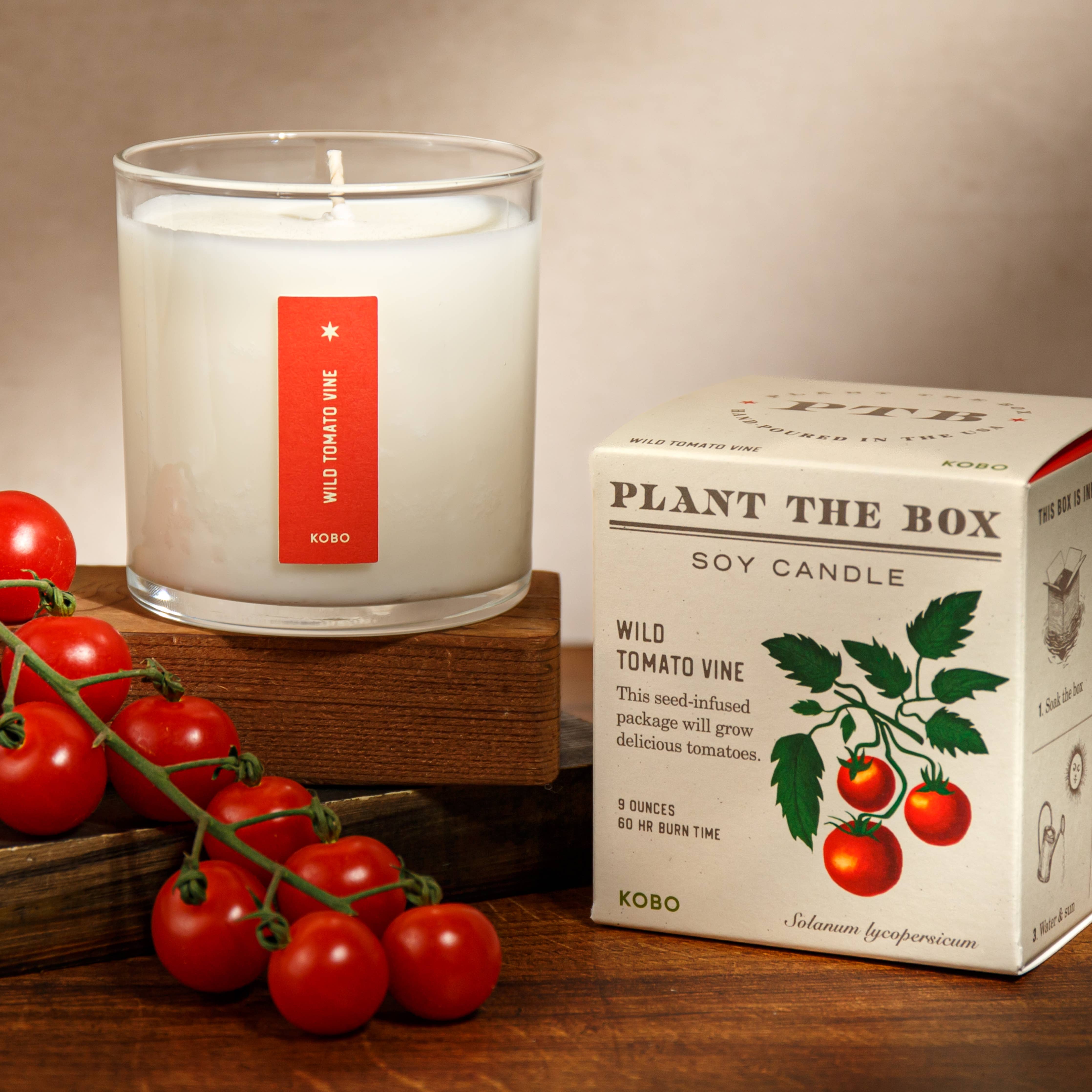 KOBO - Wild Tomato Vine - Plant the Box Candle - 9oz.