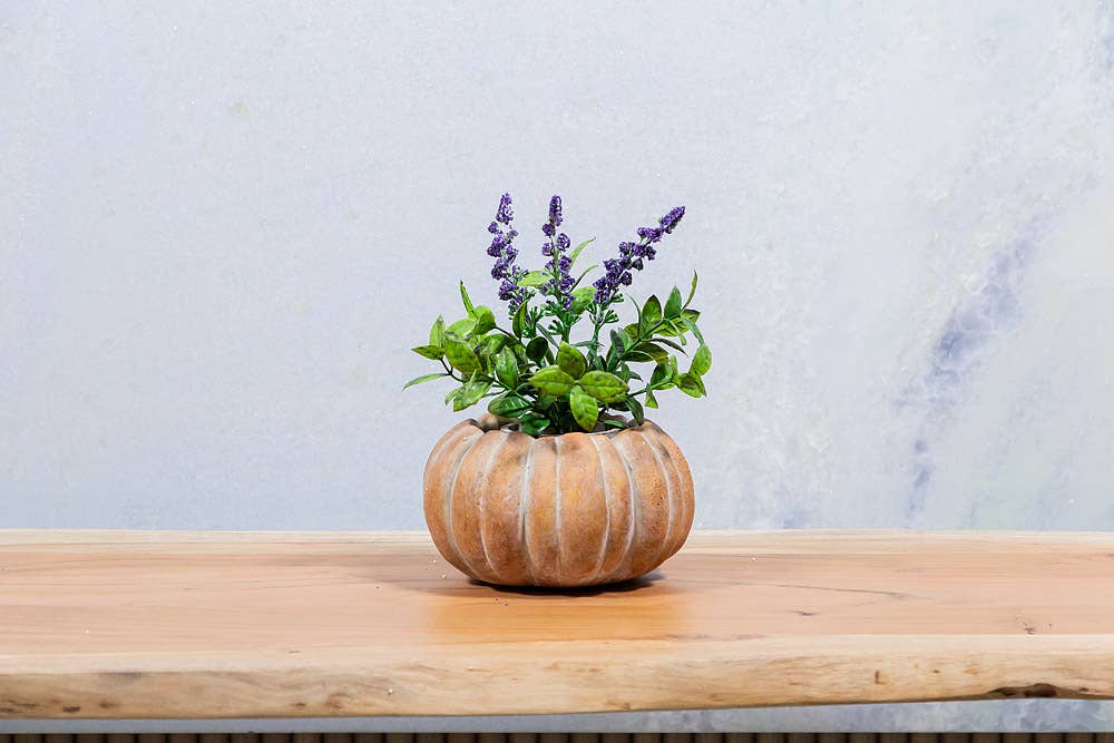 Abbott - Cement Pumpkin Planter