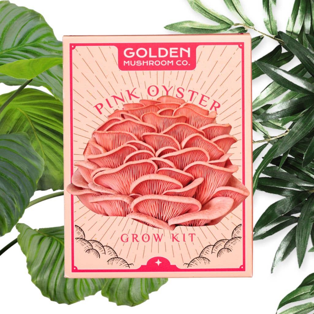 Golden Mushroom Co - Pink Oyster Mushroom Grow Kit