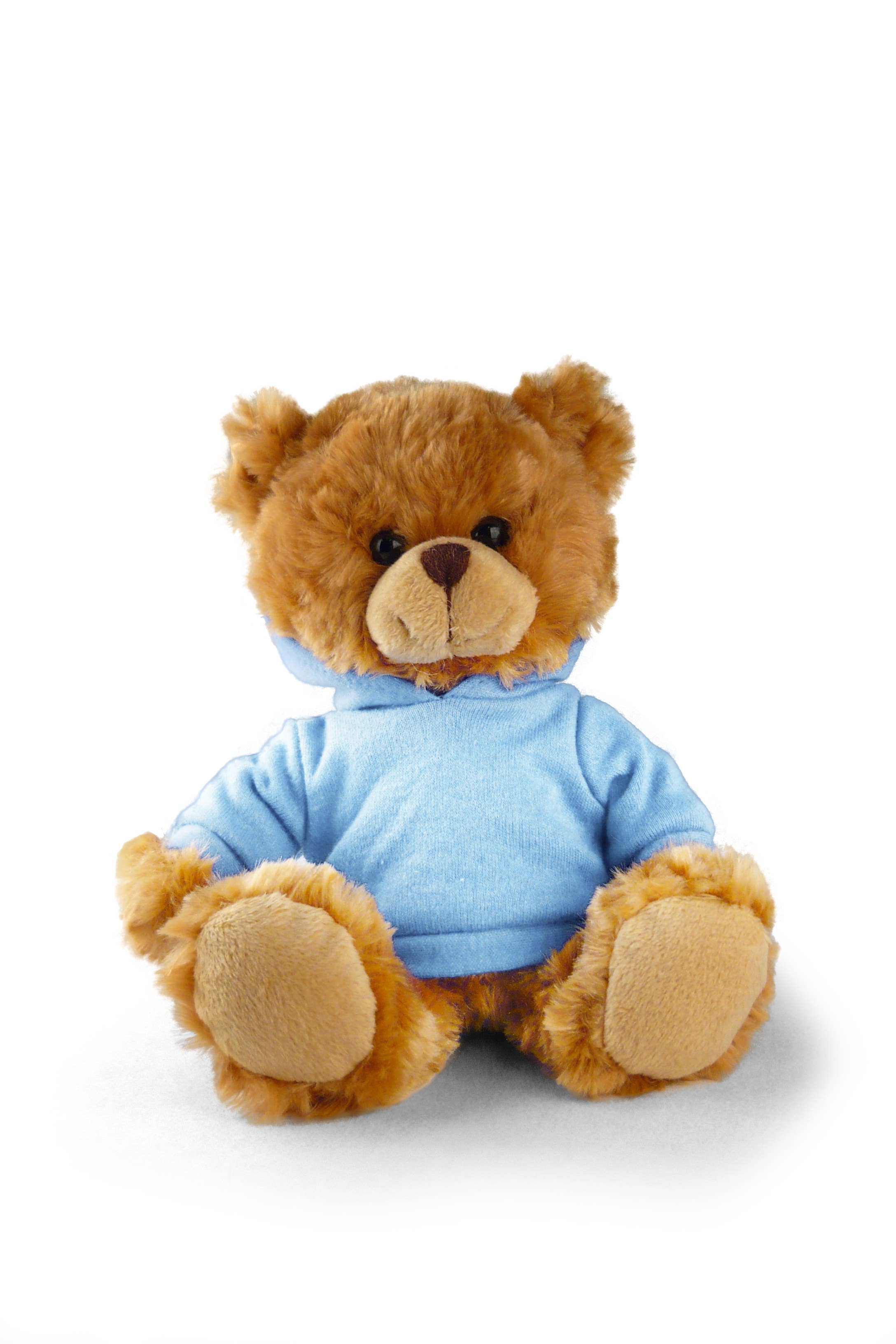 San DiegoBear with hoodie