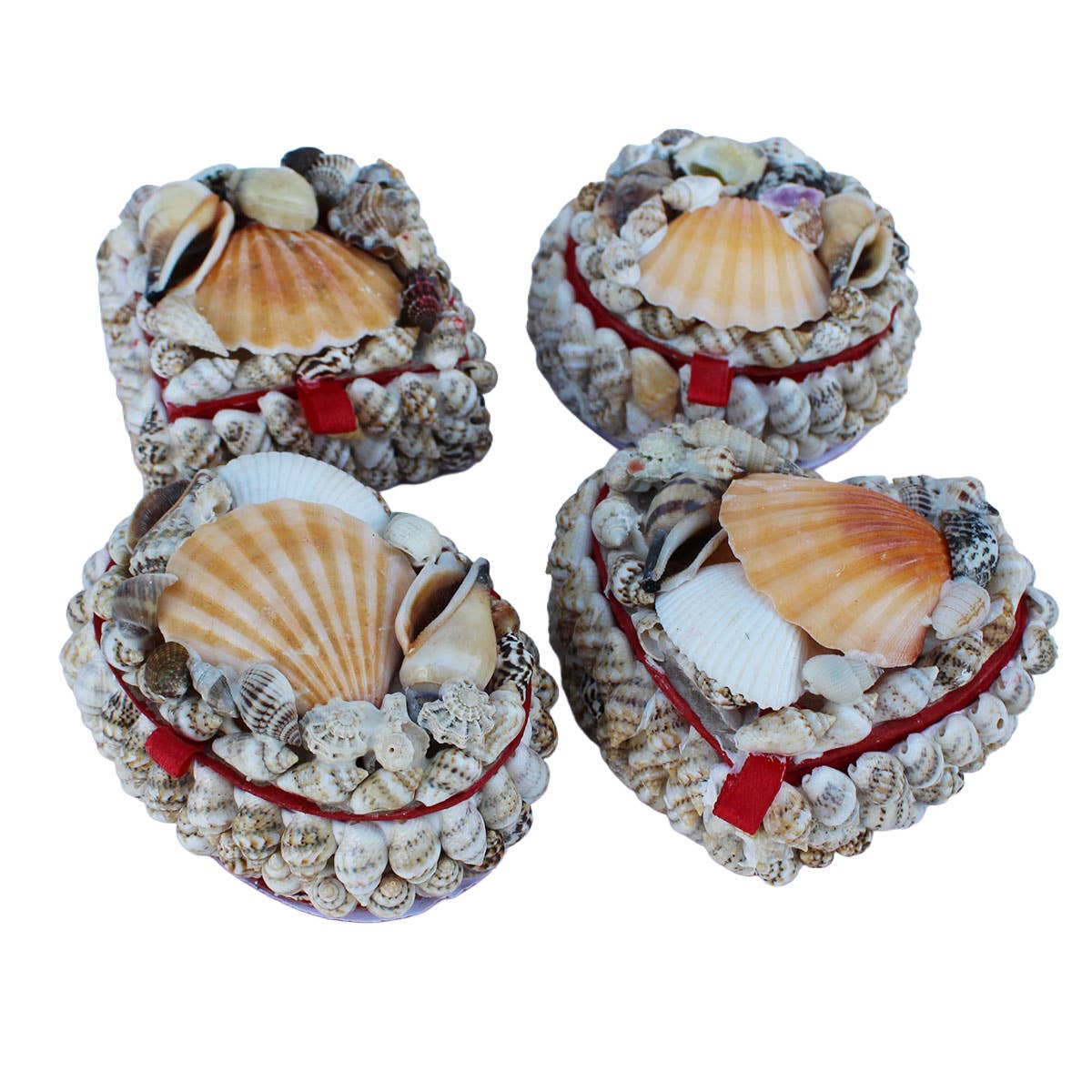 California Seashell Company - Small Shell Boxes - 4 Assorted