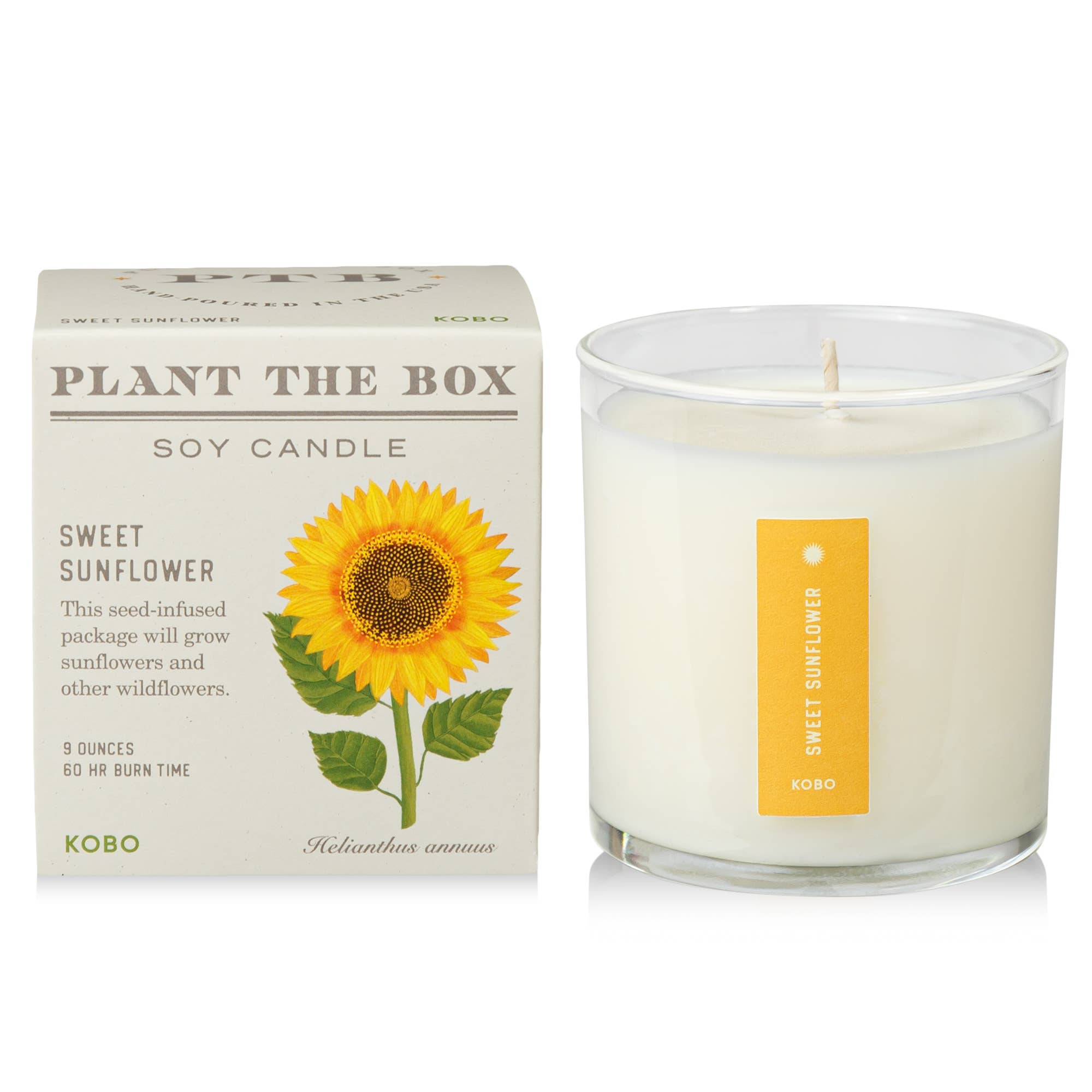 KOBO - Sweet Sunflower - Plant the Box Candle - 9oz.