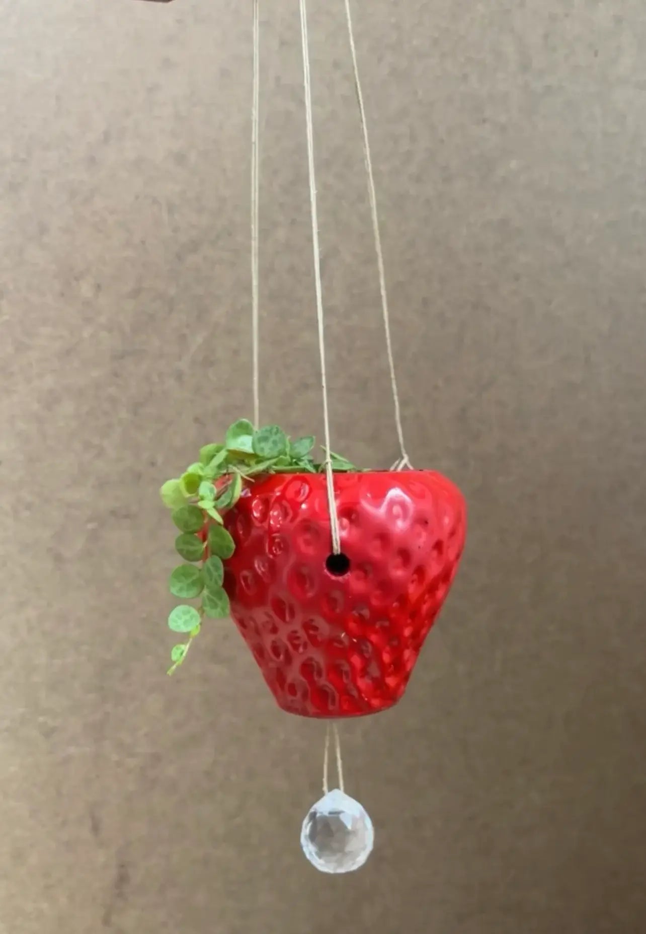 Queen City Crete - Suncatcher Strawberry Planter