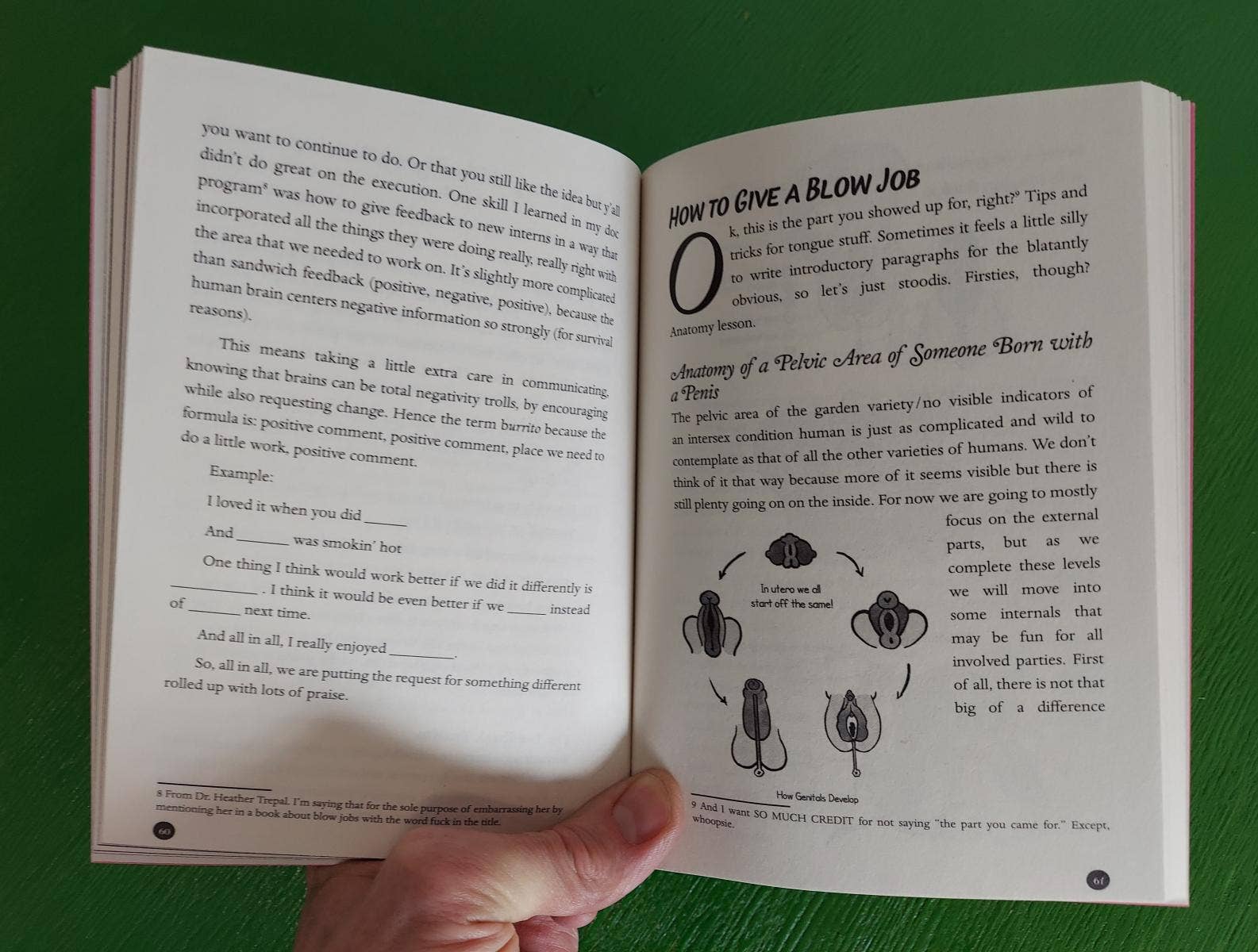 Microcosm Publishing & Distribution - Unfuck Your Blow Jobs: How to Give and Receive Glorious Head