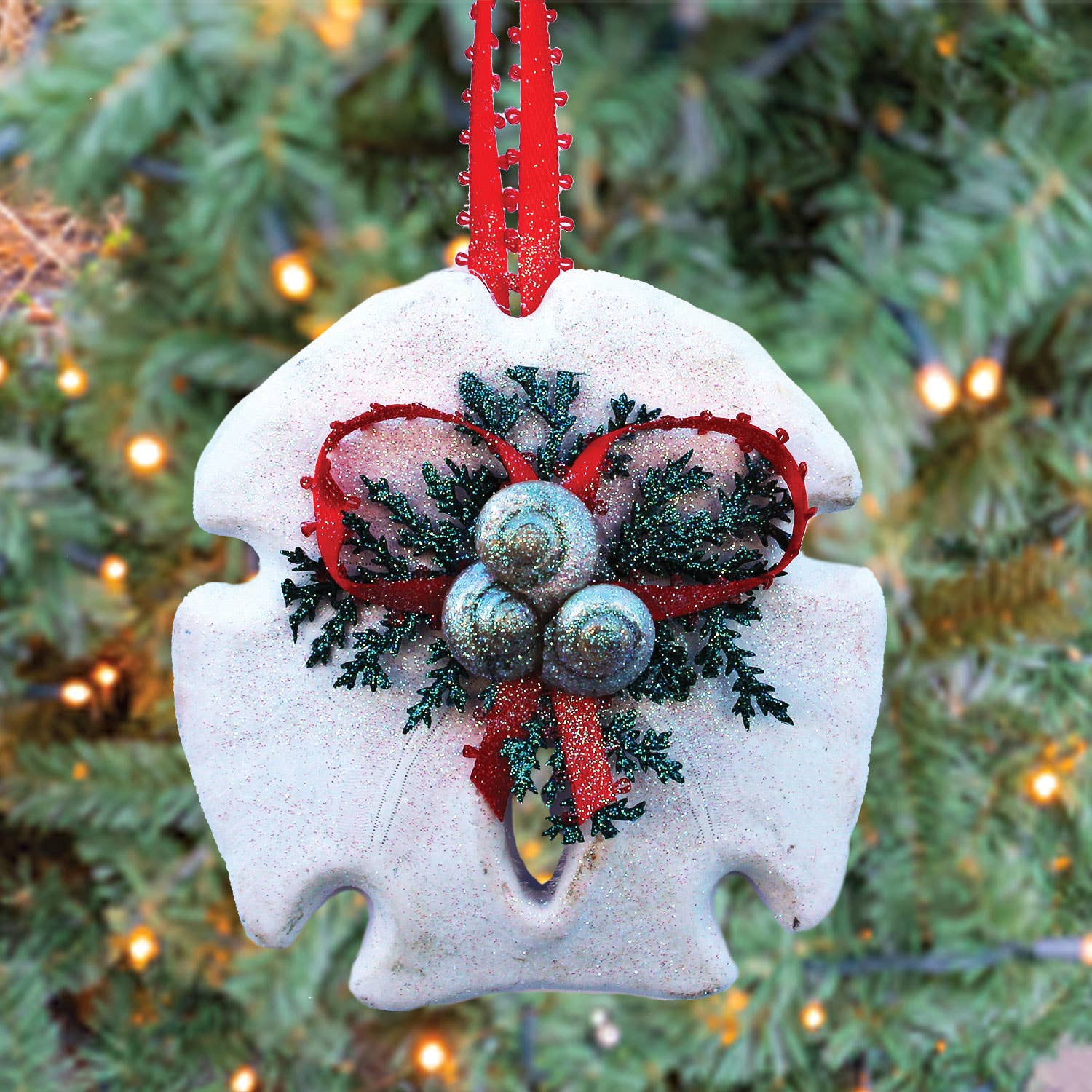 California Seashell Company - Arrowhead Sand Dollar Evergreen Collage Ornament