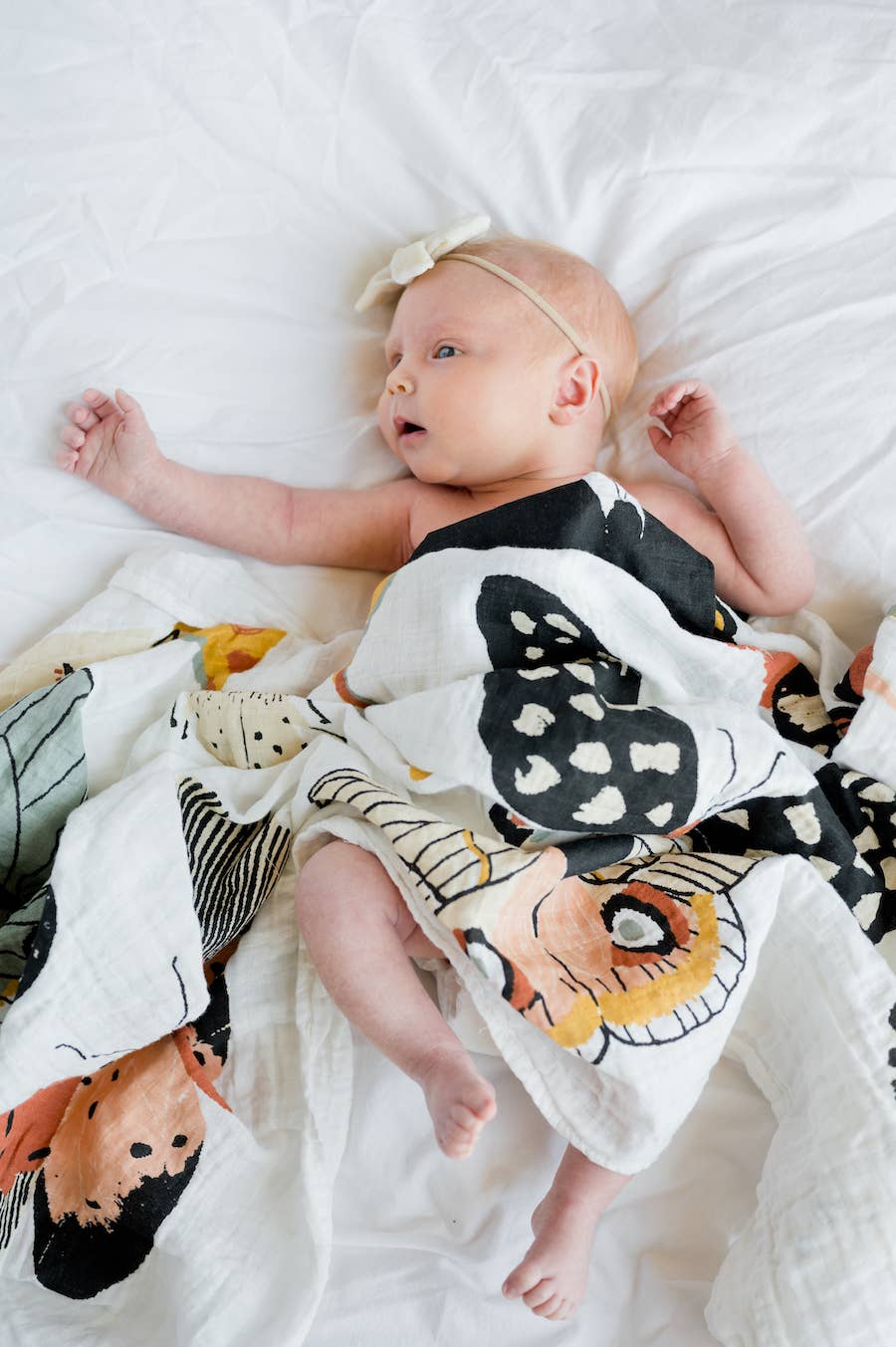 Clementine Kids - Butterfly Collector Swaddle
