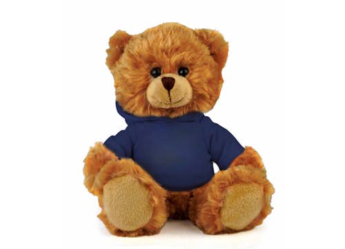 San DiegoBear with hoodie