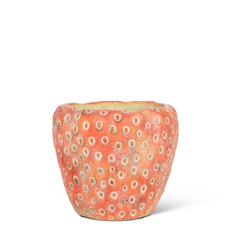 Abbott - Small Strawberry Planter-5"D
