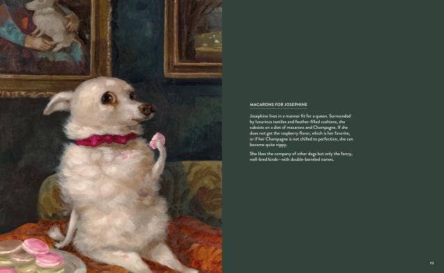 Hachette Book Group - Dog Only Knows: The Dog Portraits of Alison Friend