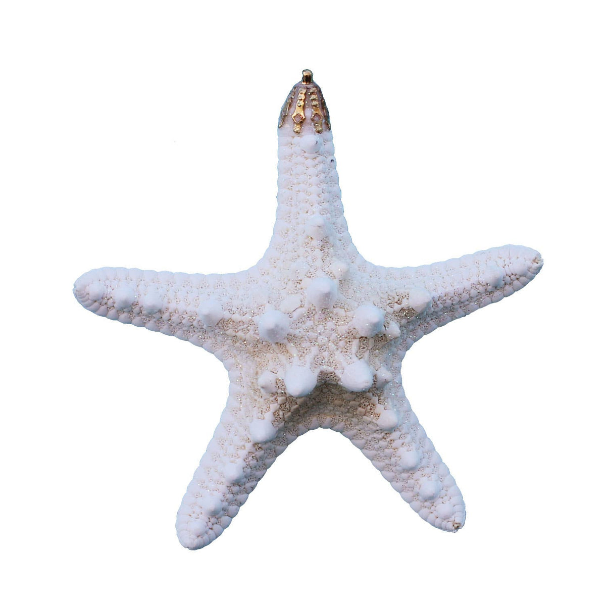 California Seashell Company - Small White Bumpy Starfish Glitter Ornament