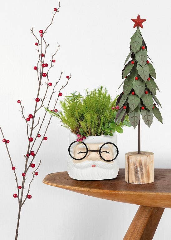 Abbott - Large Santa Planter with Glasses