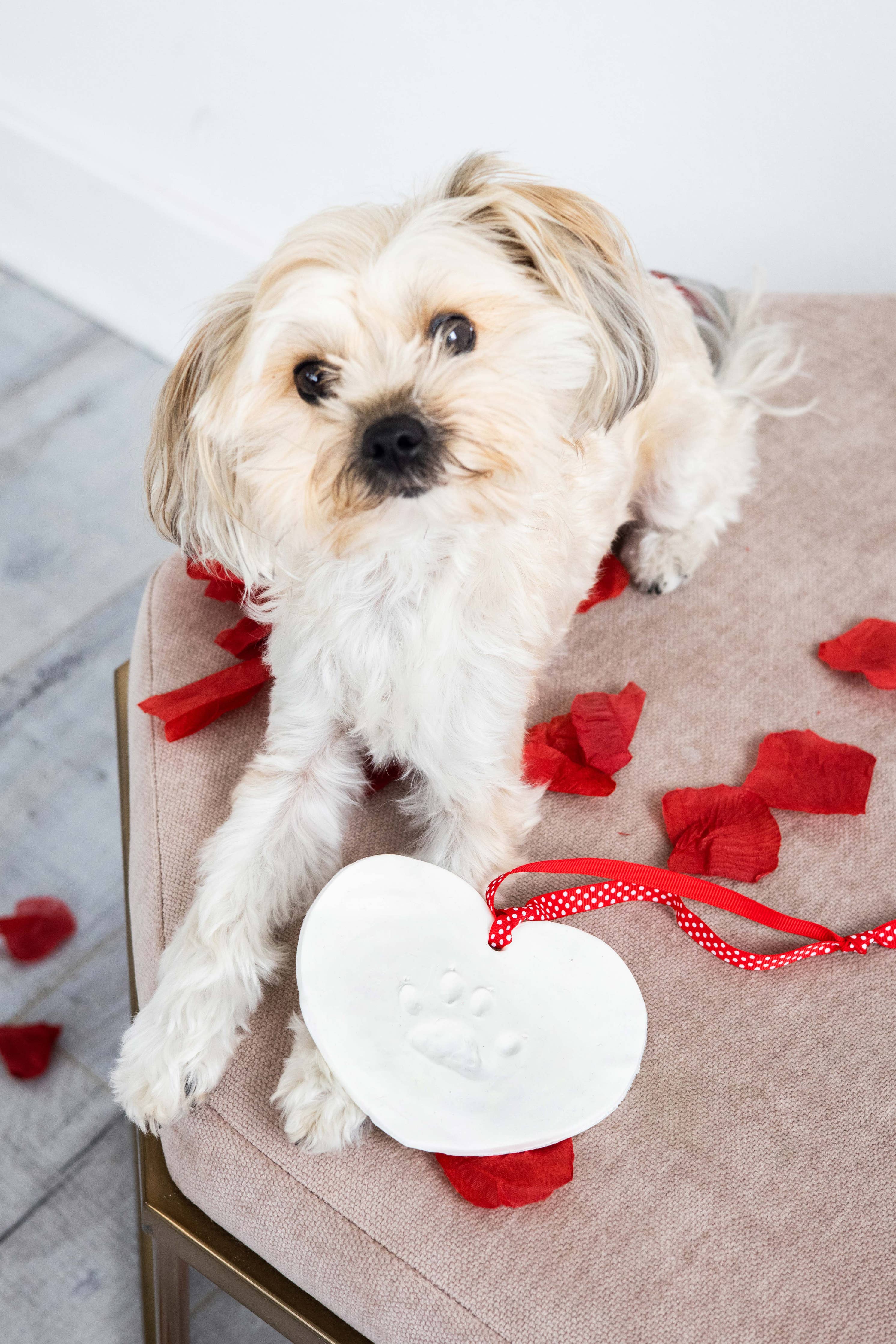 Pearhead - Pawprints Keepsake Hanging Holiday Ornament, Heart Shape