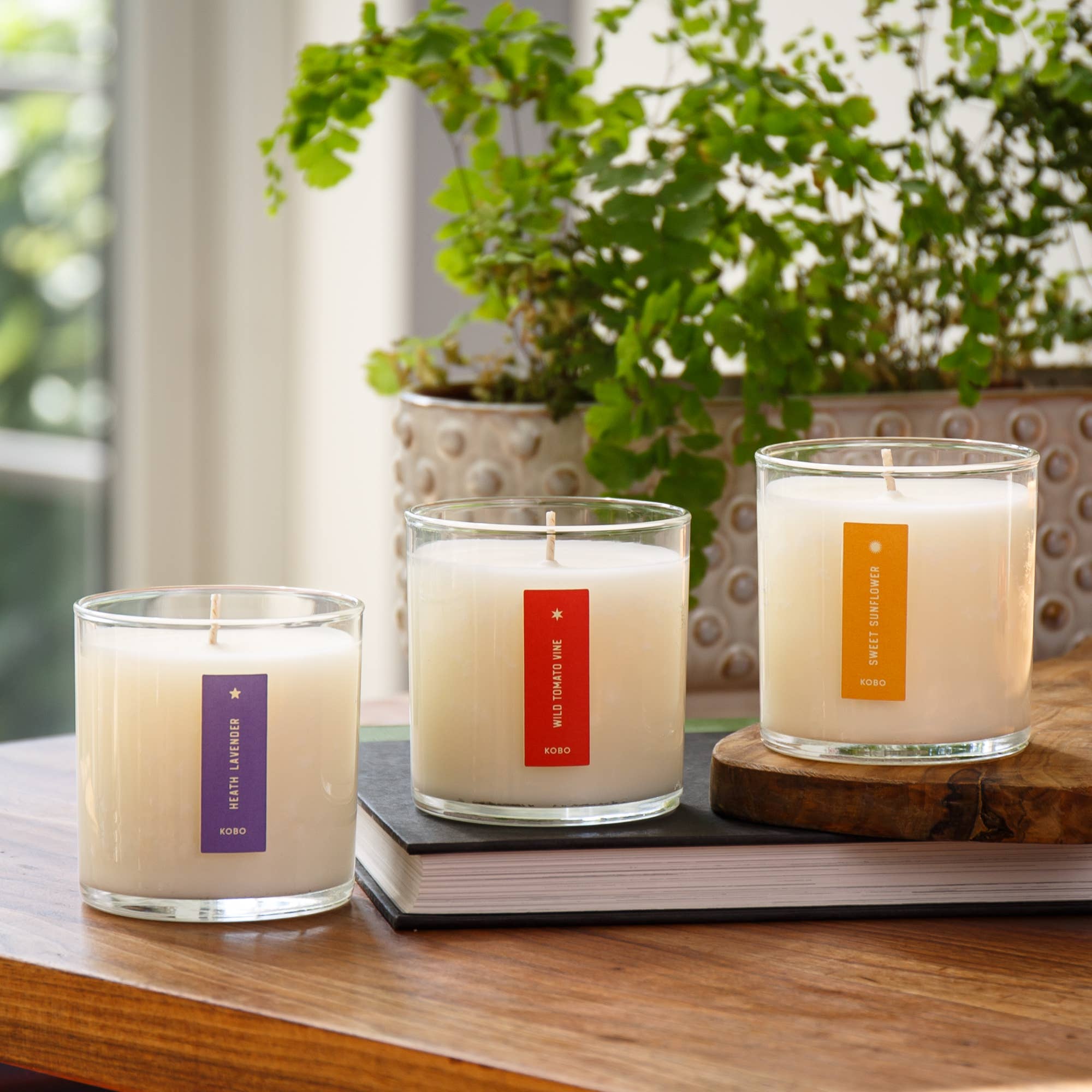 KOBO - Wild Tomato Vine - Plant the Box Candle - 9oz.