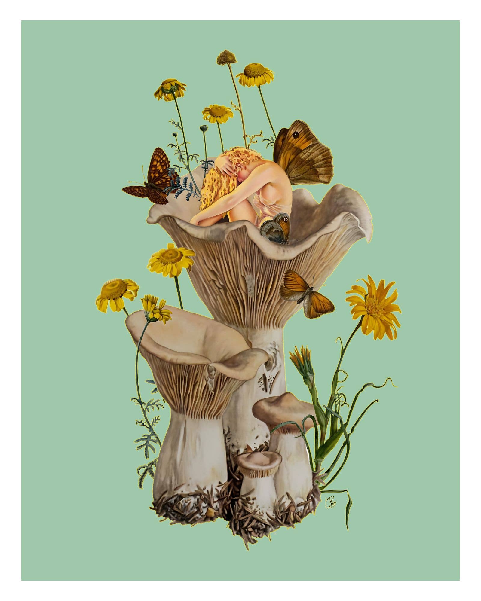 Lilbuddesigns - Shroom Gully