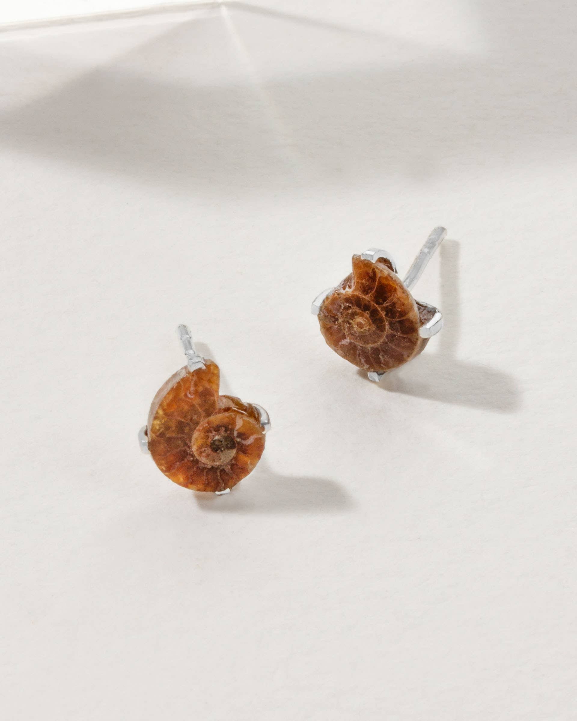 Luna Norte - Ammonite Sterling Silver Post Earrings