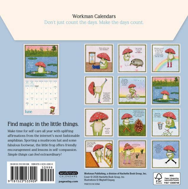 Hachette Book Group - Little Frog's Guide to Self-Care Mini Wall Calendar 2027