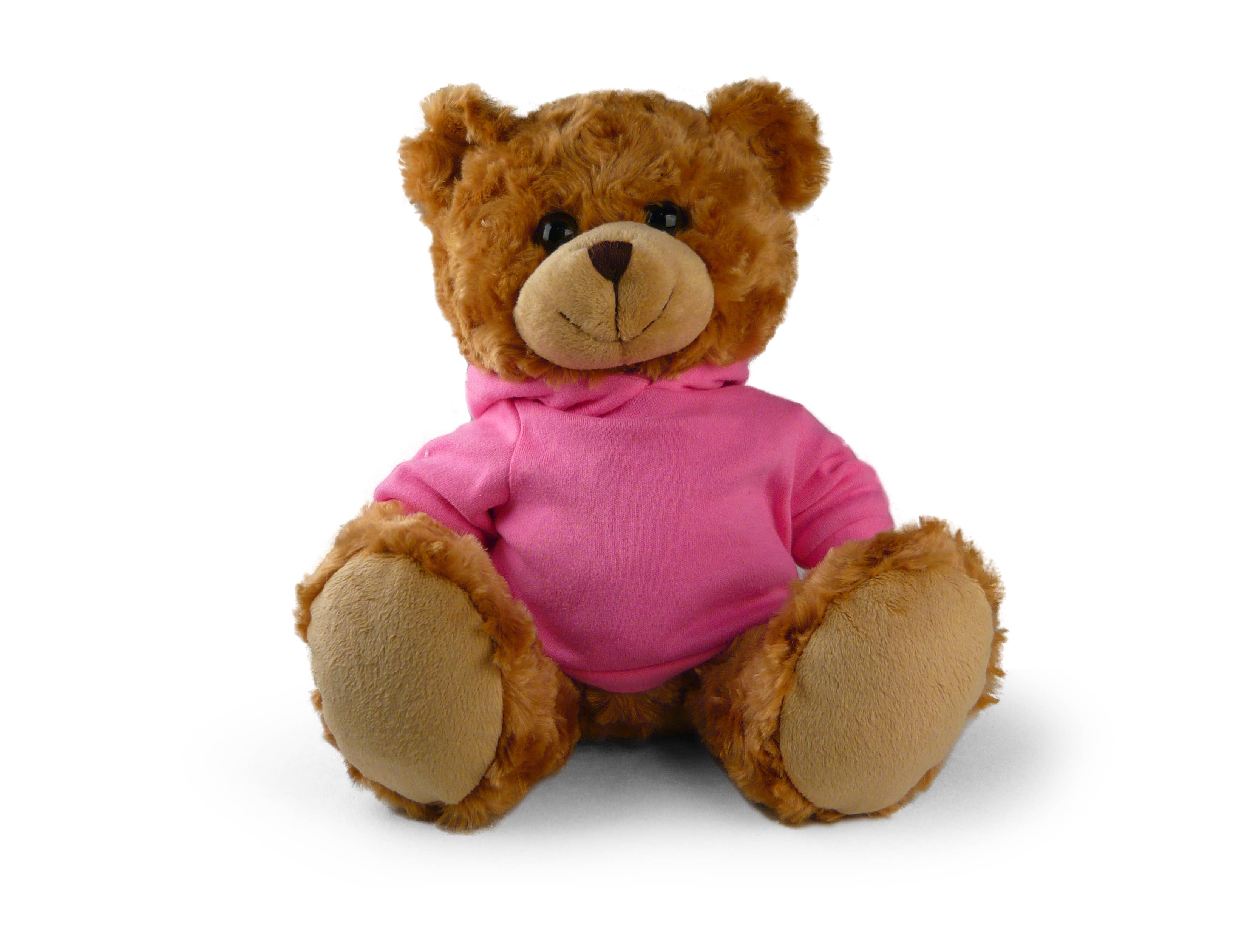 San DiegoBear with hoodie