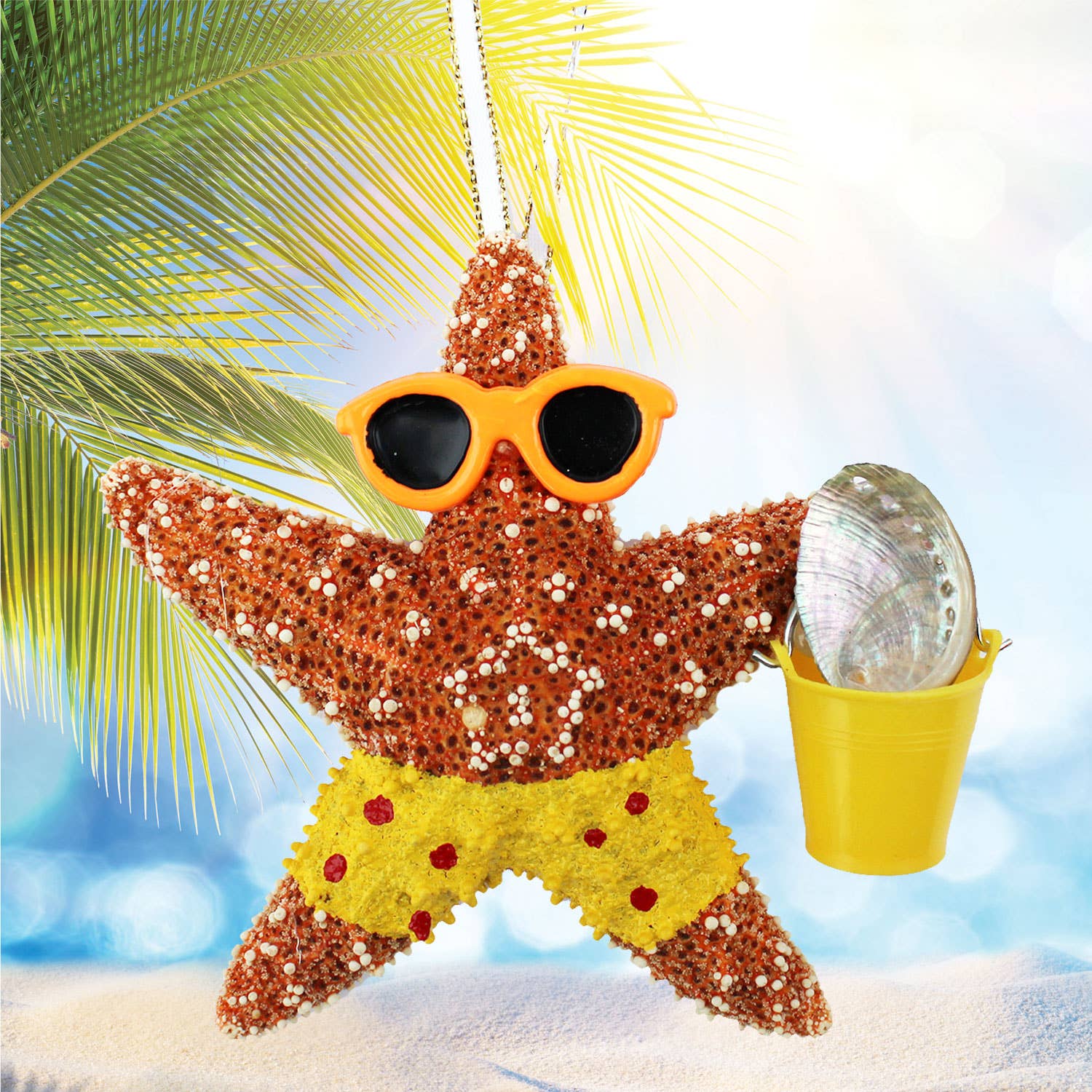 California Seashell Company - Beach Boy Bucket Sugar Starfish Ornament