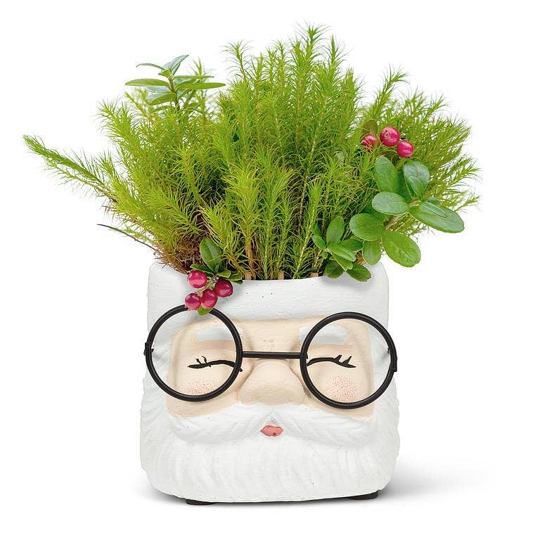 Abbott - Small Santa Planter with Glasses