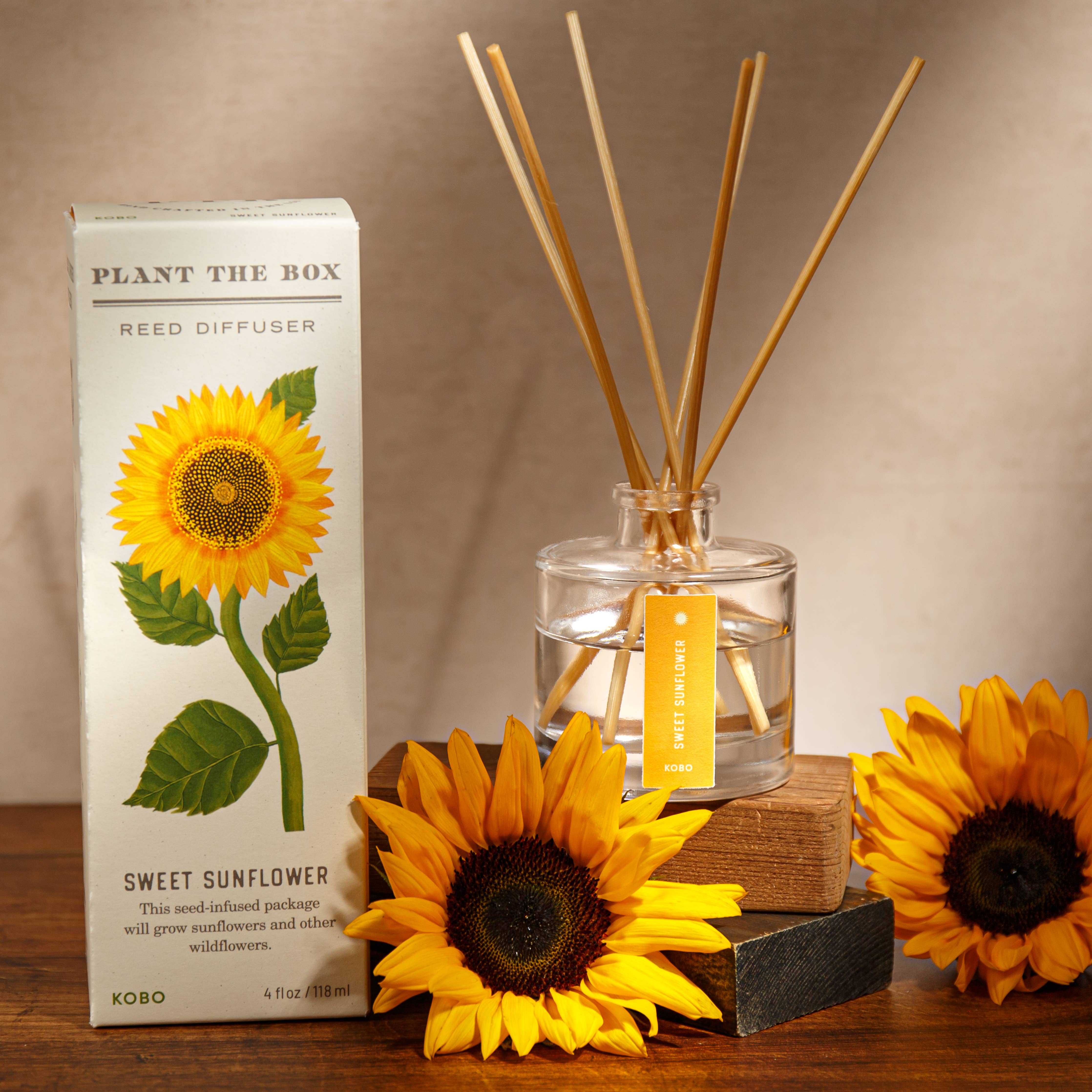 KOBO - Sweet Sunflower - Plant the Box Diffuser - 4oz