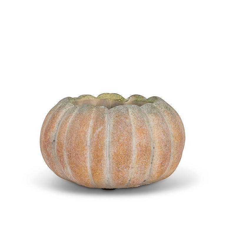 Abbott - Cement Pumpkin Planter