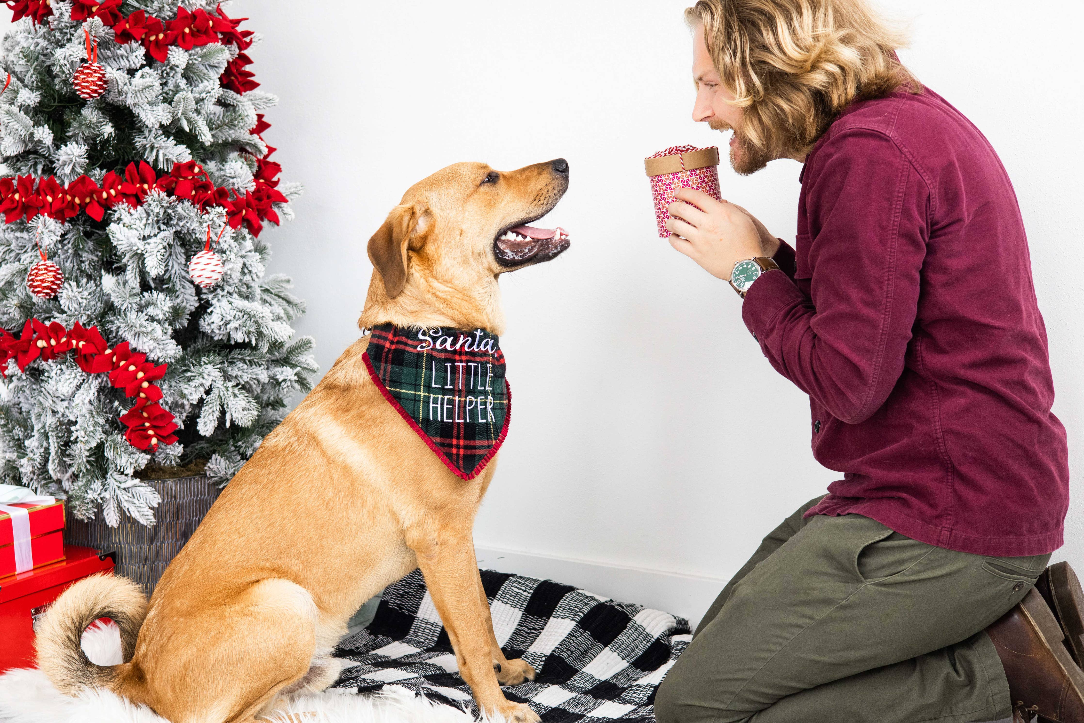 Pearhead - Santa's Little Helper Christmas Dog Bandana, M/L